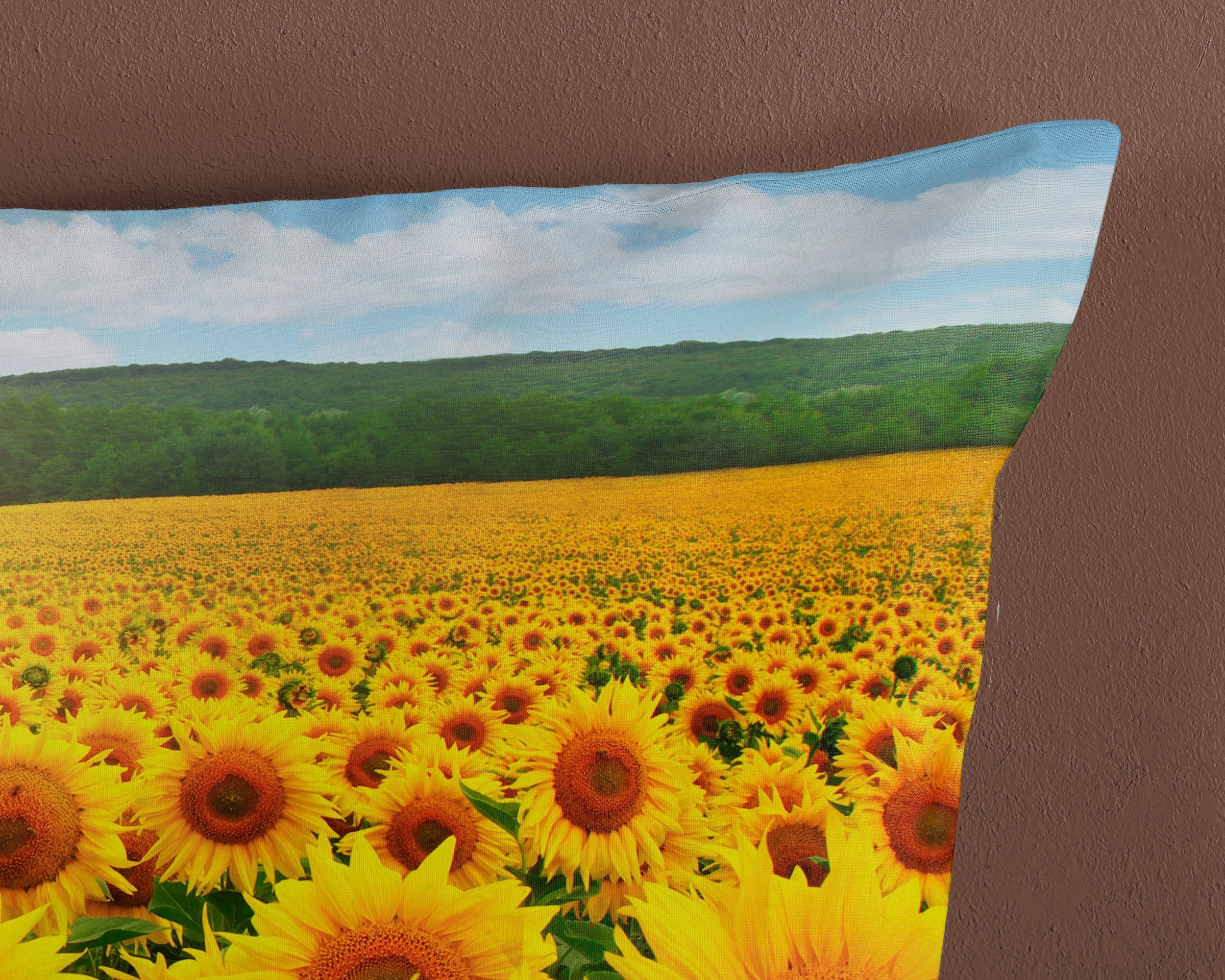 good morning Wendebettwäsche »Sonne«, Baumwolle, 2 Teilig, Reißverschluss, Wende, Sonnenblume, Gelb, Blau