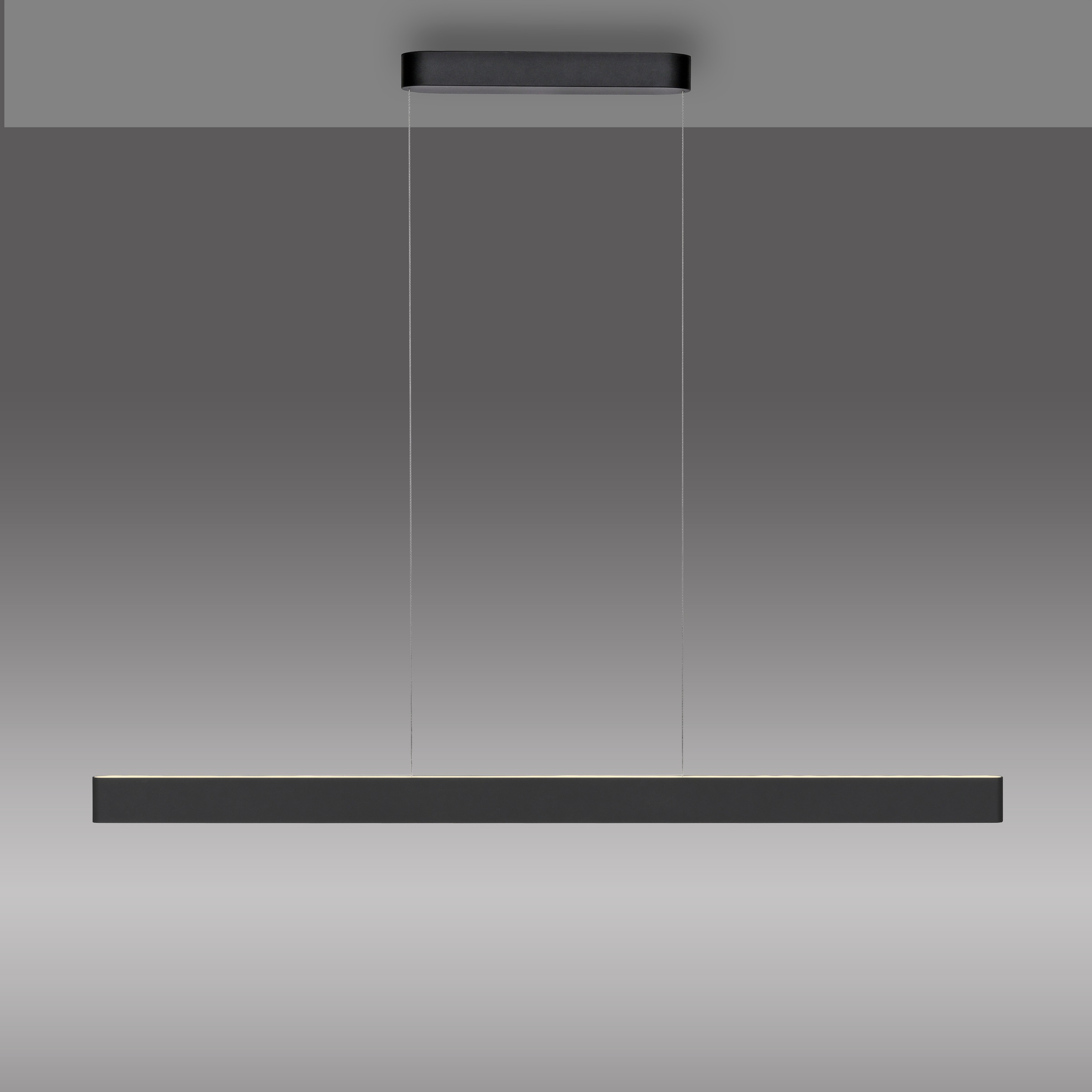 Neuhaus Q DESIGN CONTROL LIGHTS LED Pendelleuchte »Q-STRETTO« LED-Board 1 Stk. warmweiß - kaltweiß