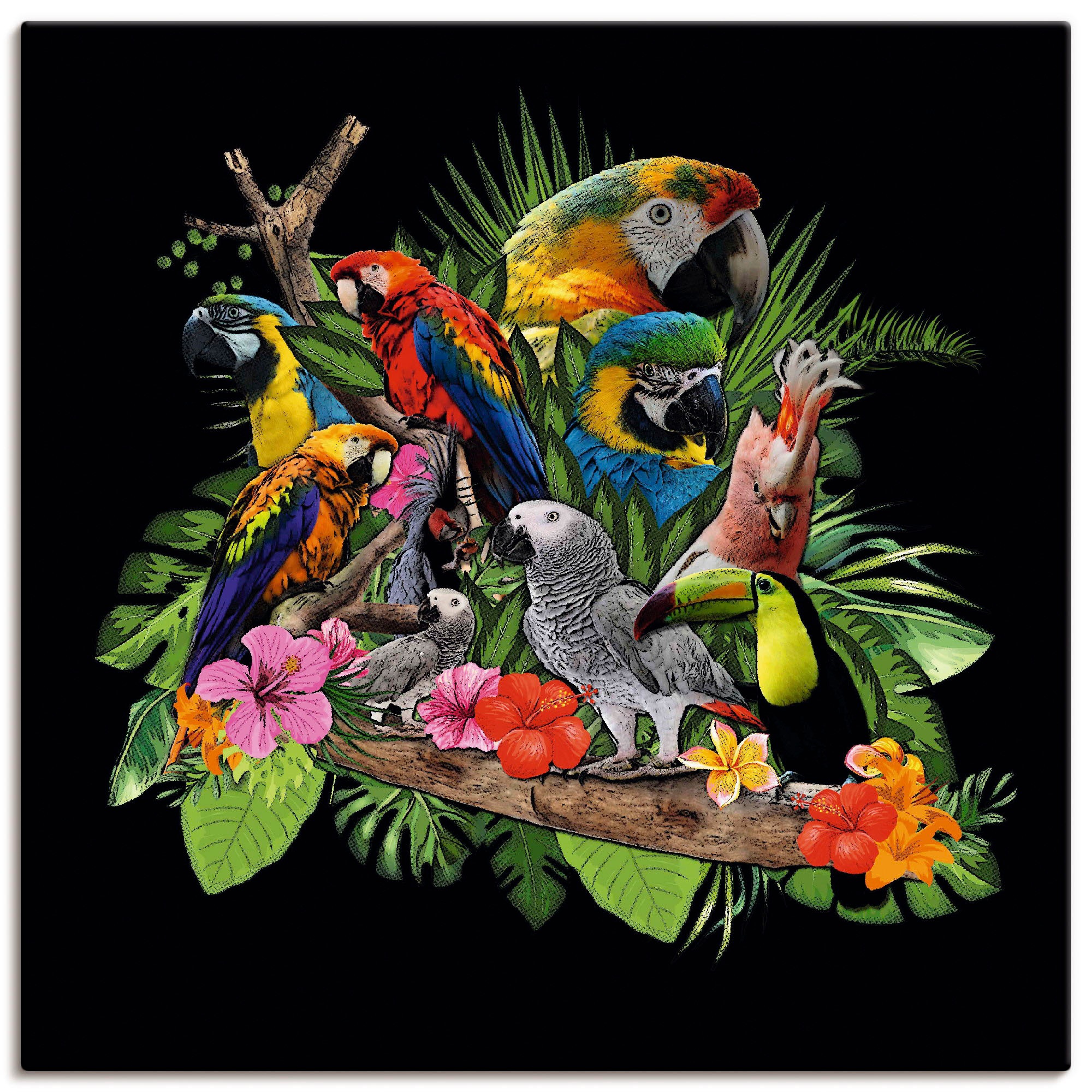Artland Wandbild »Papageien Graupapagei Kakadu Dschungel« Vögel 1 Stk. tlg. günstig online kaufen