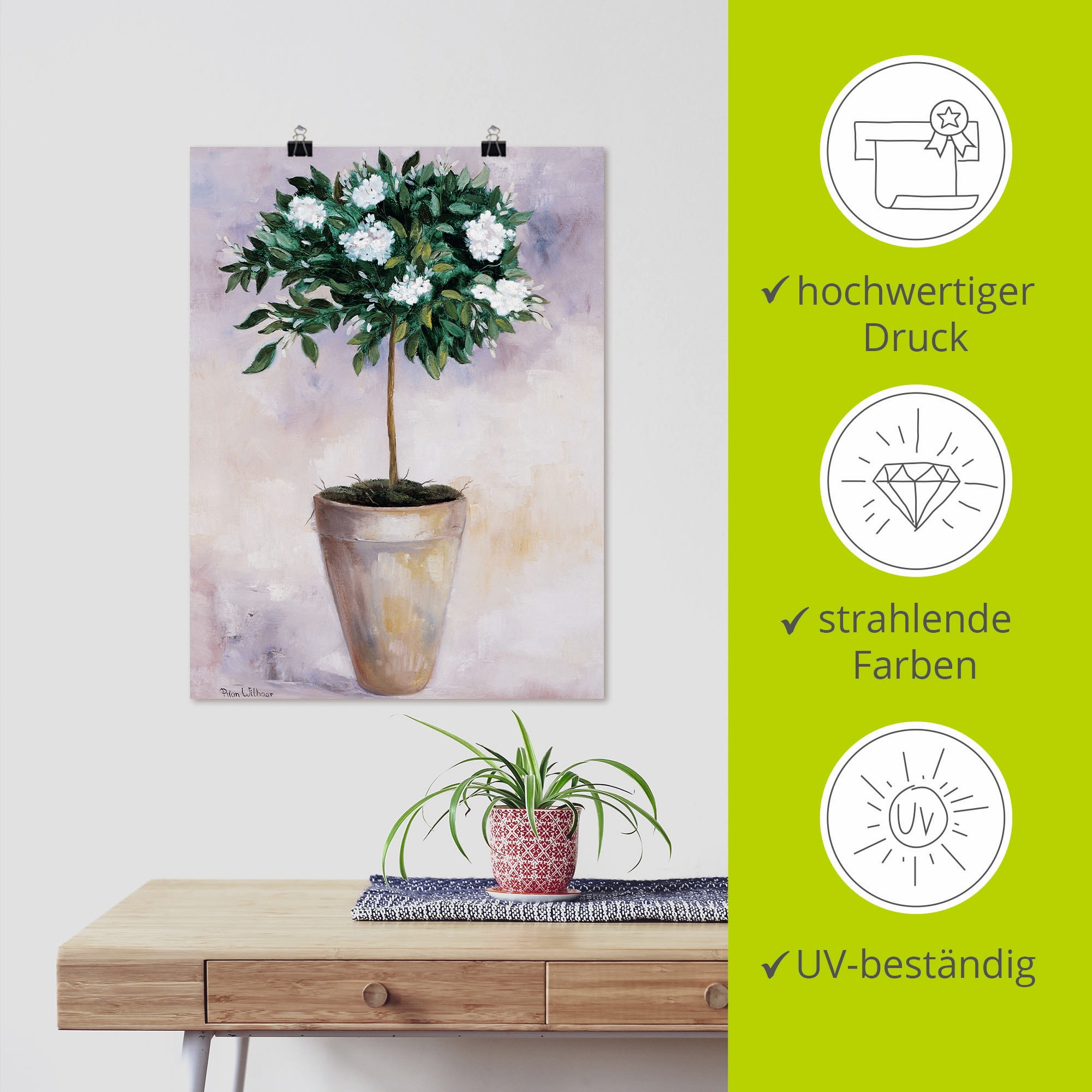 Artland Wandbild »Winterjasmin«, Pflanzen, (1 St.), als Poster, Wandaufkleber in verschied. Größen