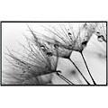 Papermoon Infrarotheizung »Blumen Schwarz & Weiß«, sehr angenehme Strahlungswärme
