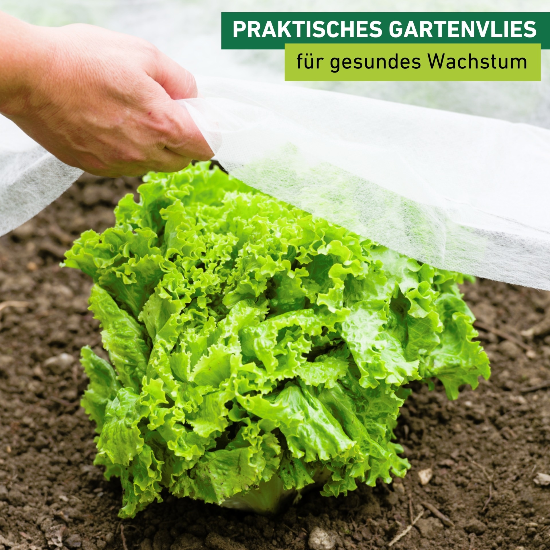 Windhager Gartenvlies »Standard für gesundes Wachstum, Gartenfolie« 1 Stk. tlg. Abdeckvlies erhältlich in 5 x 1,5 m oder 10 x 1,5 m, 17 g/m², weiß