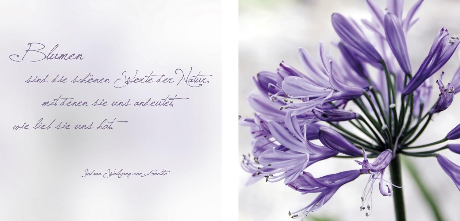 queence Leinwandbild »Worte der Natur«, Blätter-Blätterbilder-Kunst-Modern- günstig online kaufen