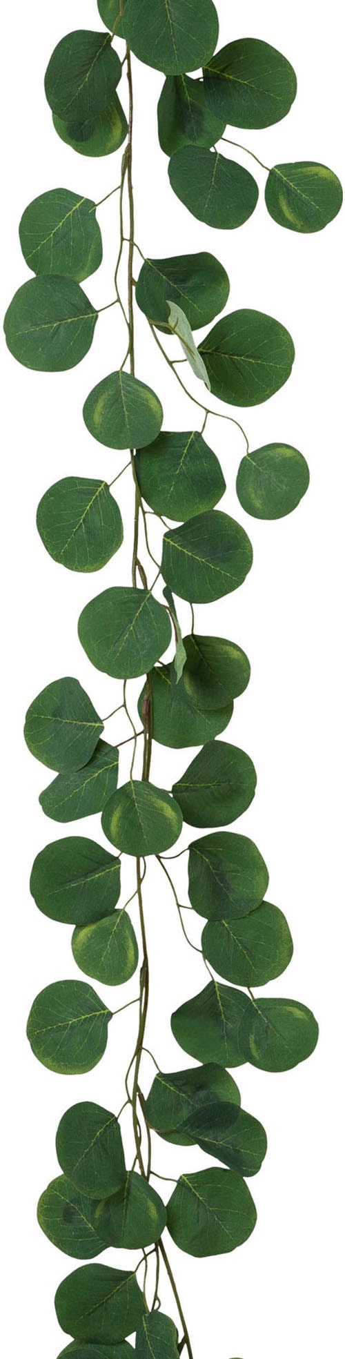 Creativ green Kunstgirlande »Eukalyptusgirlande«