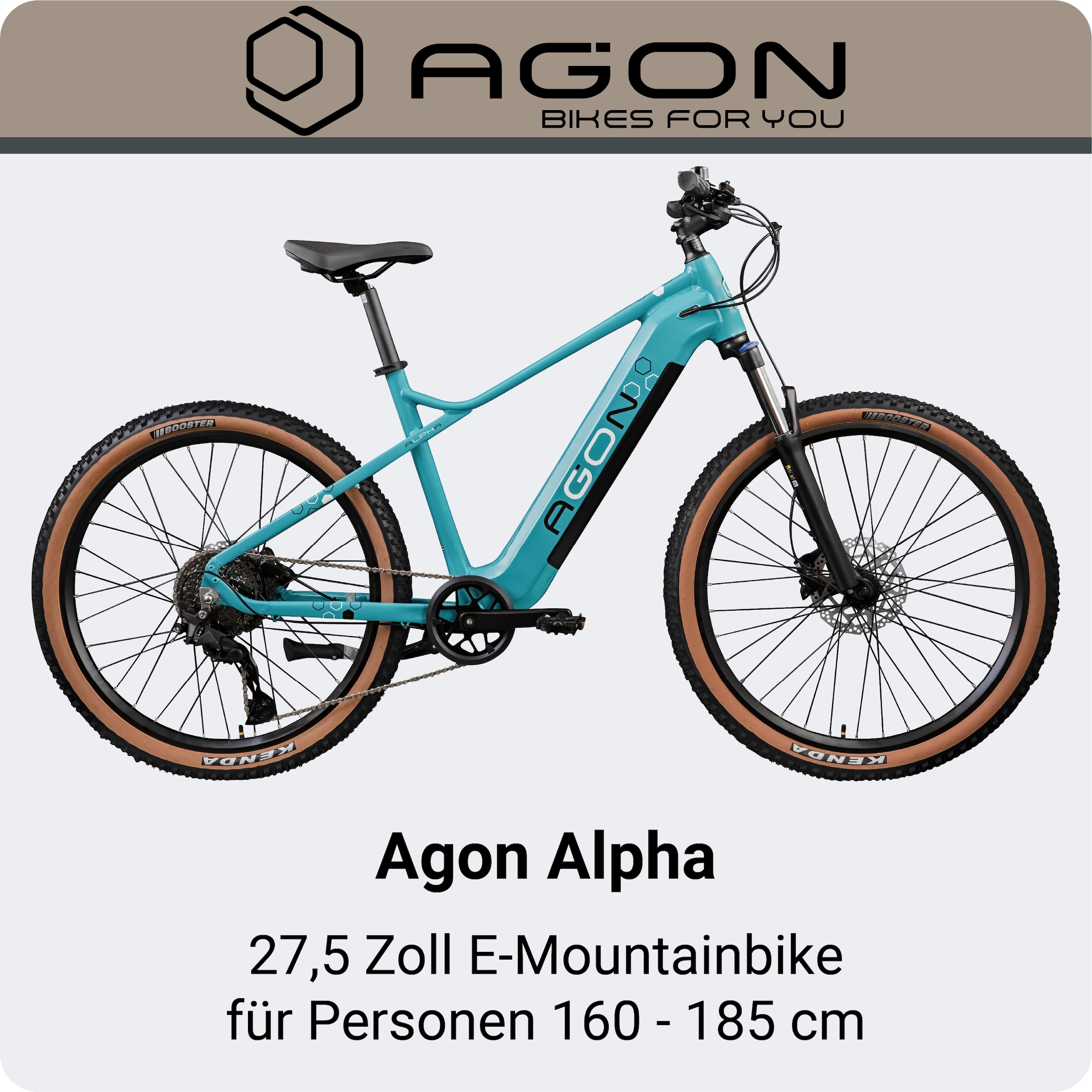AGON »Alpha« 10 Gang Shimano Deore SGS T6000 Schaltwerk Kettenschaltung Heckmotor 250 W Pedelec, Elektrofahrrad für Damen u. Herren, MTB