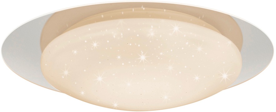 REALITY Leuchten LED Deckenleuchte »Frodo«, 1 flammig, Leuchtmittel LED-Mod günstig online kaufen