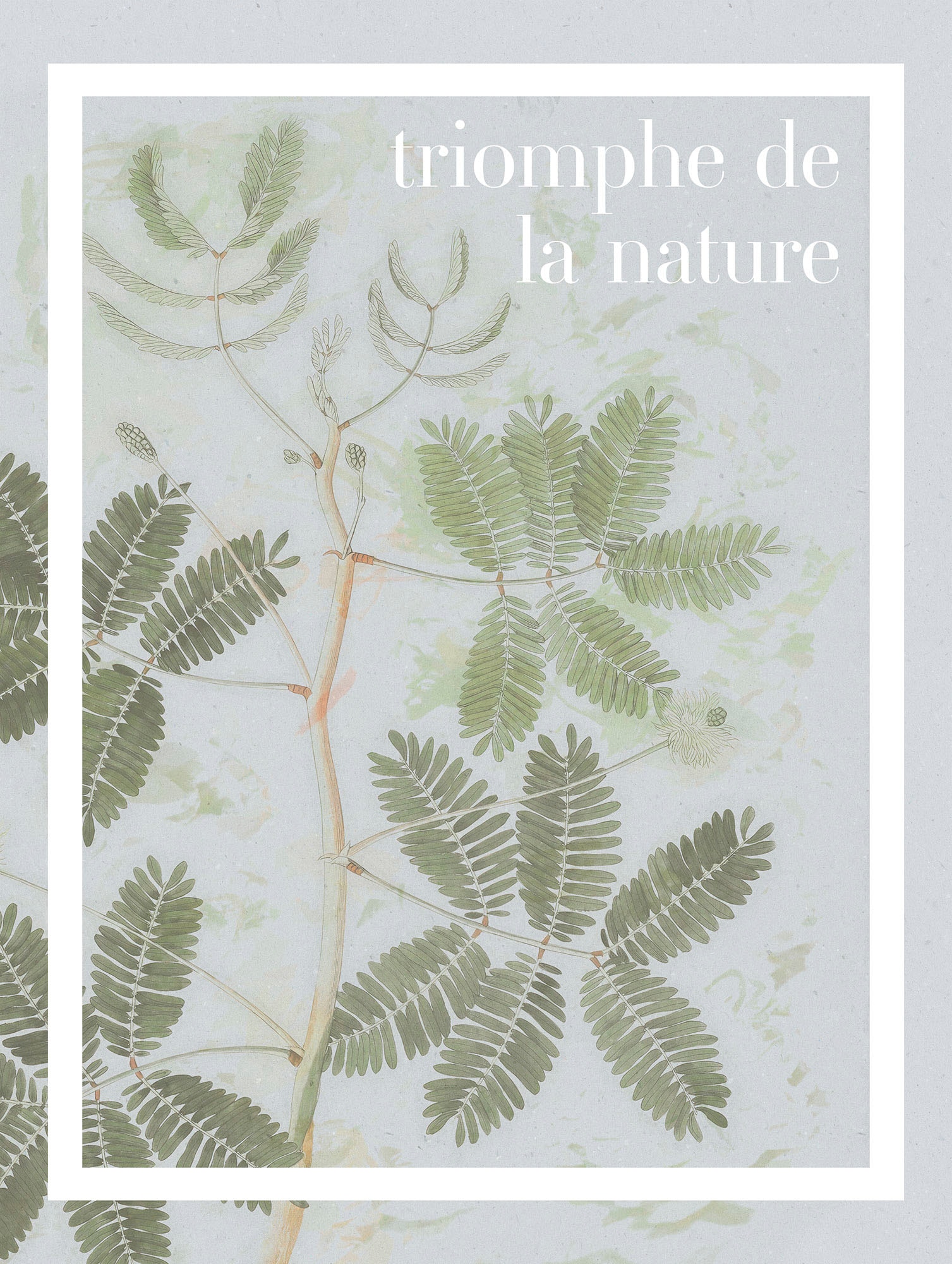 Komar Bild »PLANT ART Triomphe de la nature« Natur 1 Stk. tlg. Wandbild zur günstig online kaufen