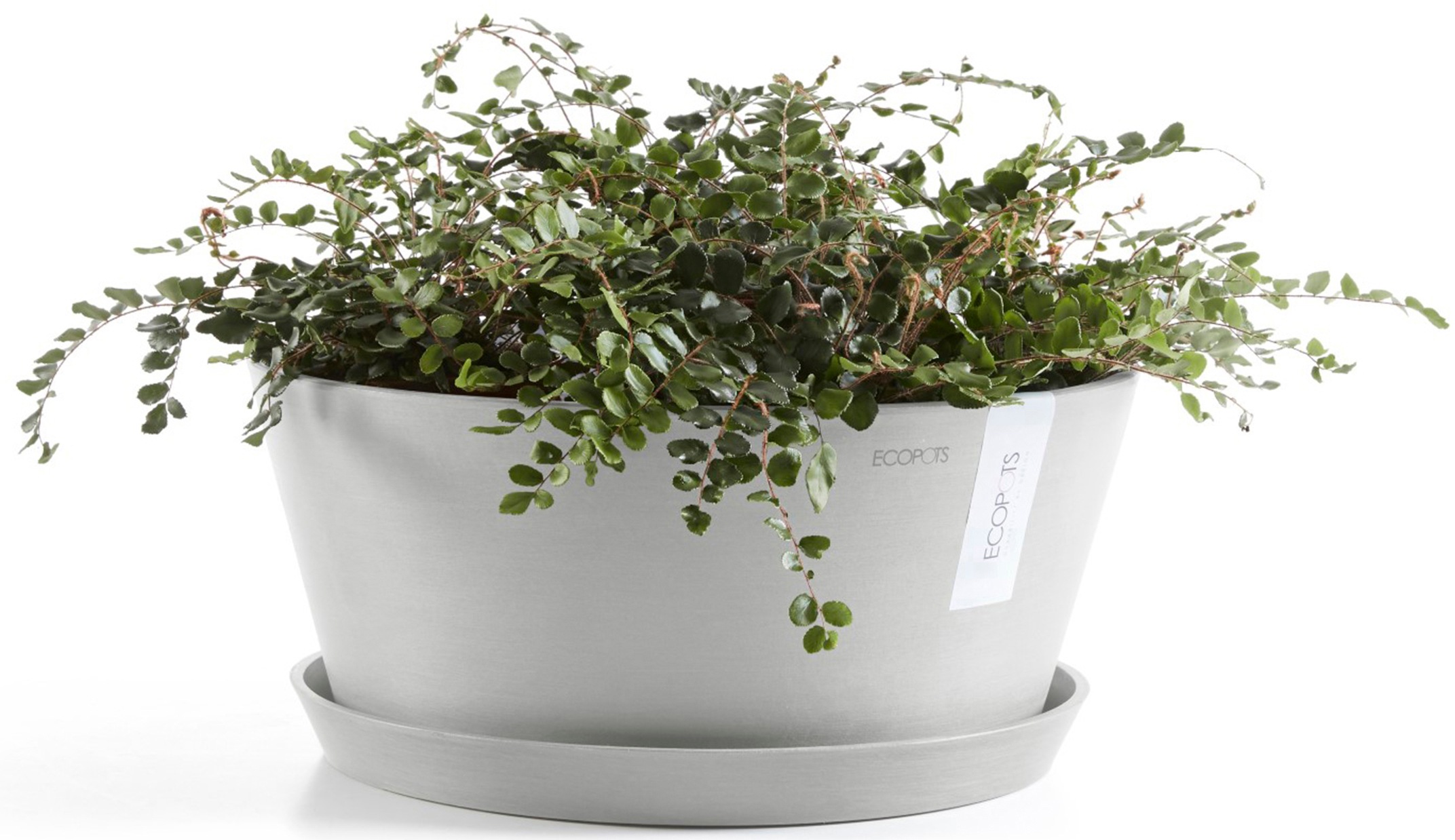 ECOPOTS Blumentopf »Frankfurt 30 Weißgrau« für innen und außen: frostsicher, bruchsicher und lichtbeständig