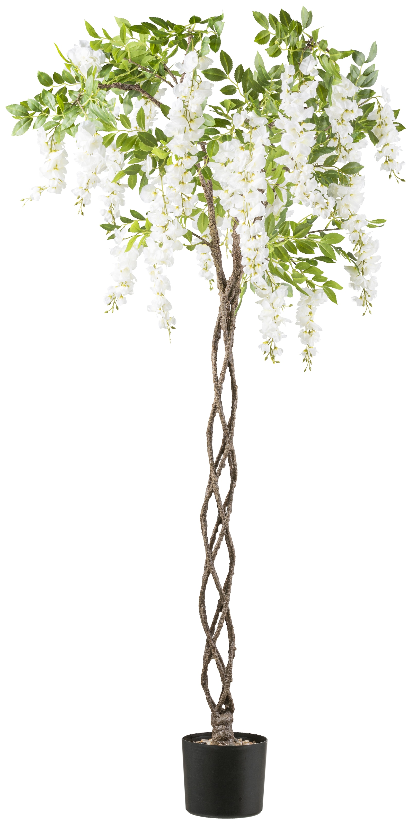 Creativ green Kunstbaum »Weißer Blauregen« mit geflochtenem Stamm günstig online kaufen
