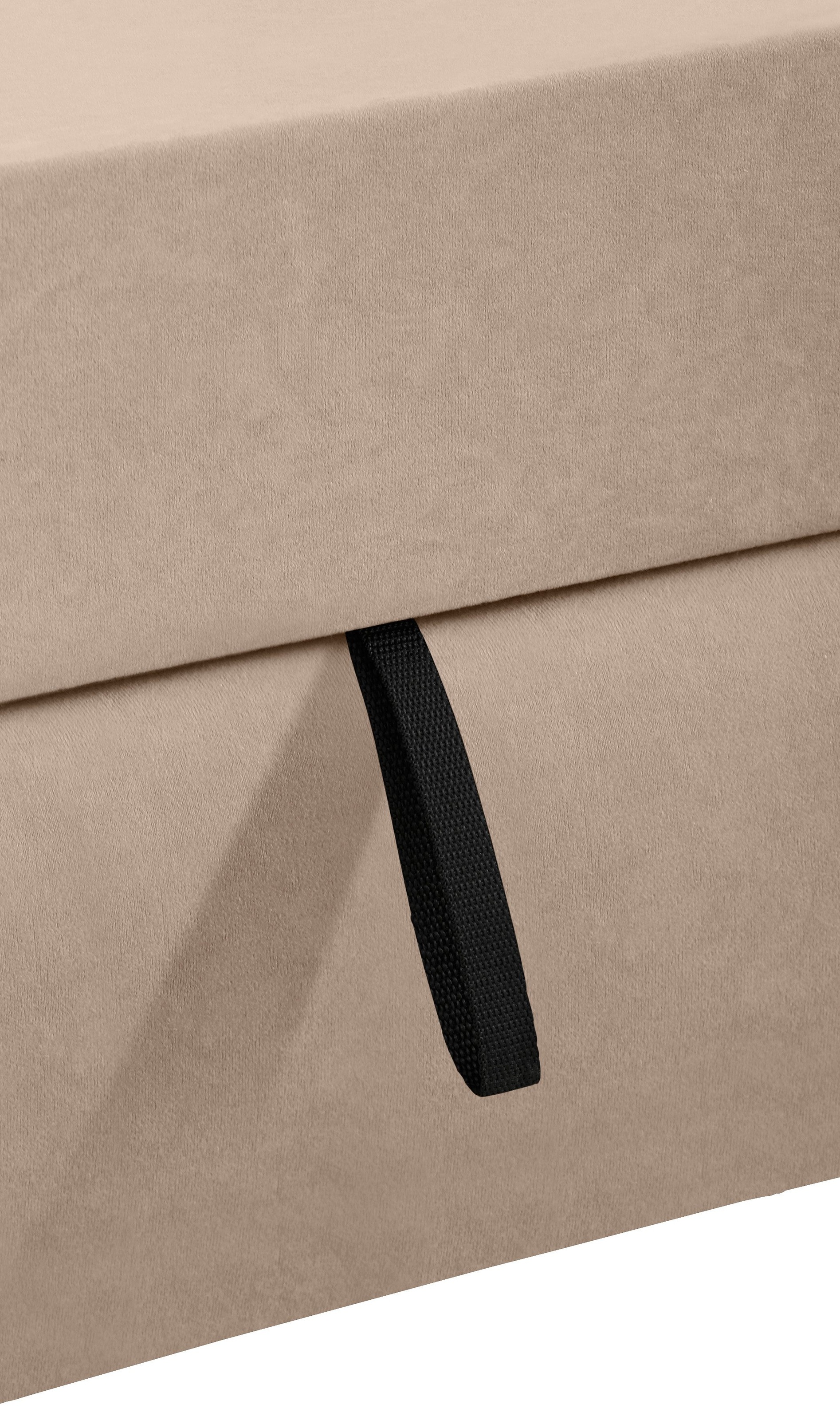 Home affaire Ecksofa »Falk klare Linien, elegant und zeitlos, L-Form«, mit Federkern und wahlweise mit Bettfunktion