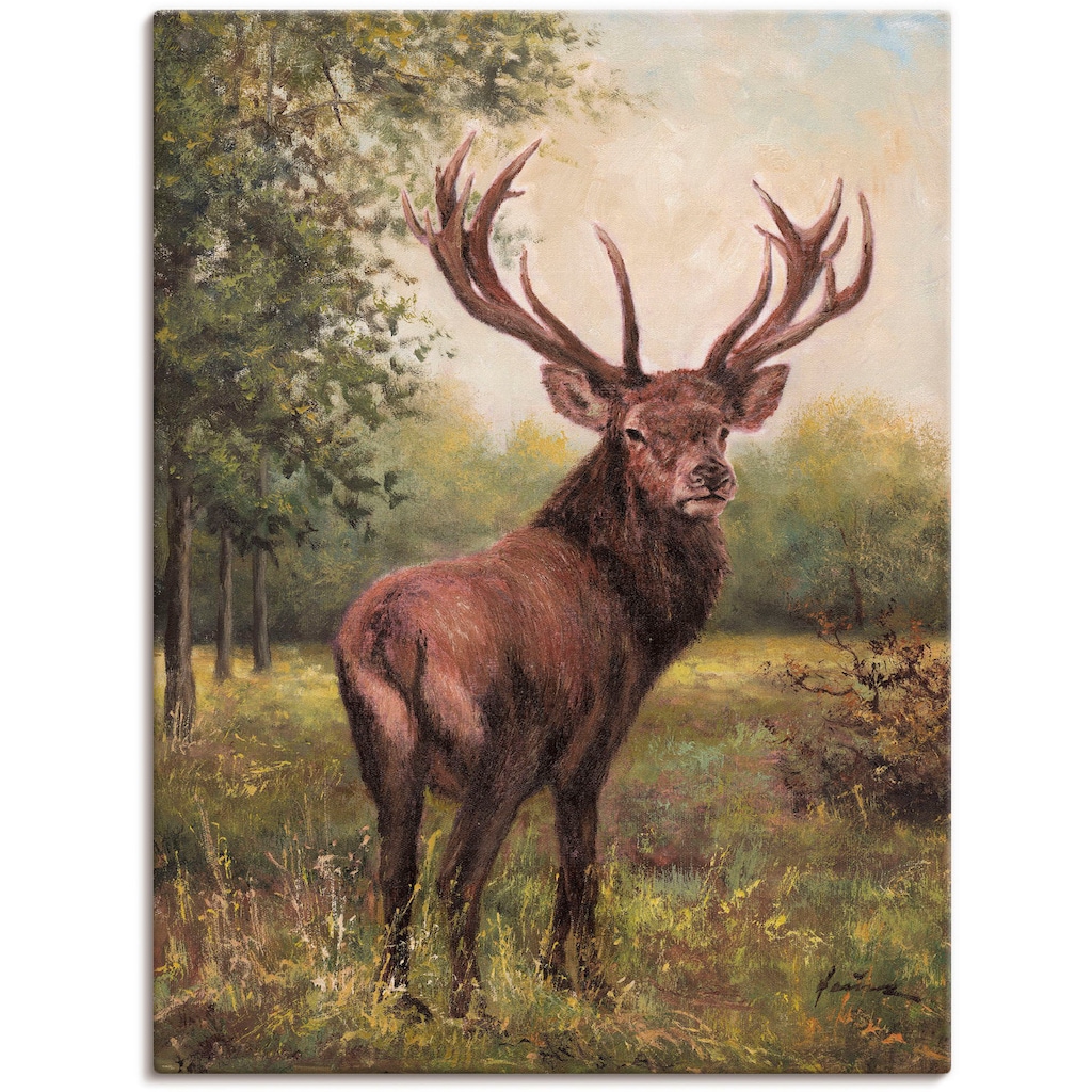 Artland Wandbild »Hirsch«, Wildtiere, (1 St.)