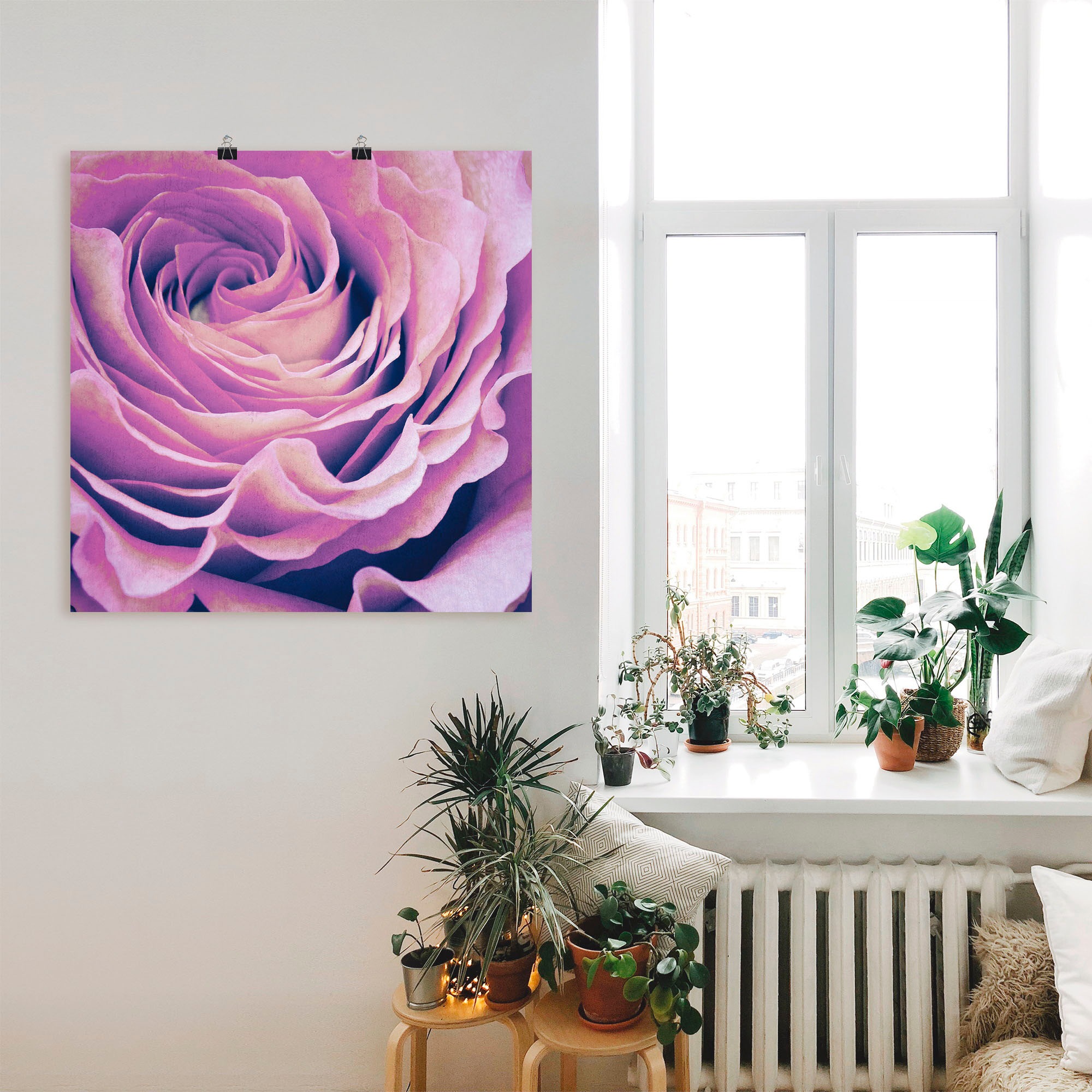 Artland Wandbild »Lila Rose«, Blumen, online Wandaufkleber St.), als Leinwandbild, in oder bestellen Größen Poster versch. (1 Alubild