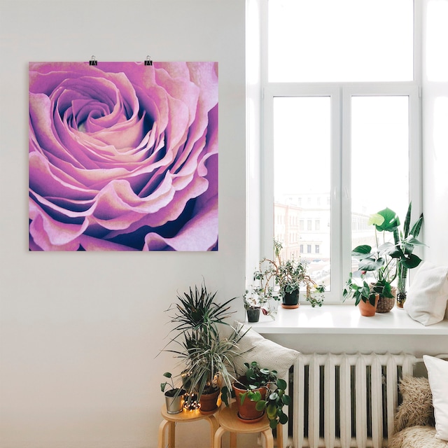 Artland Wandbild »Lila Rose«, Blumen, (1 St.), als Alubild, Leinwandbild,  Wandaufkleber oder Poster in versch. Größen online bestellen