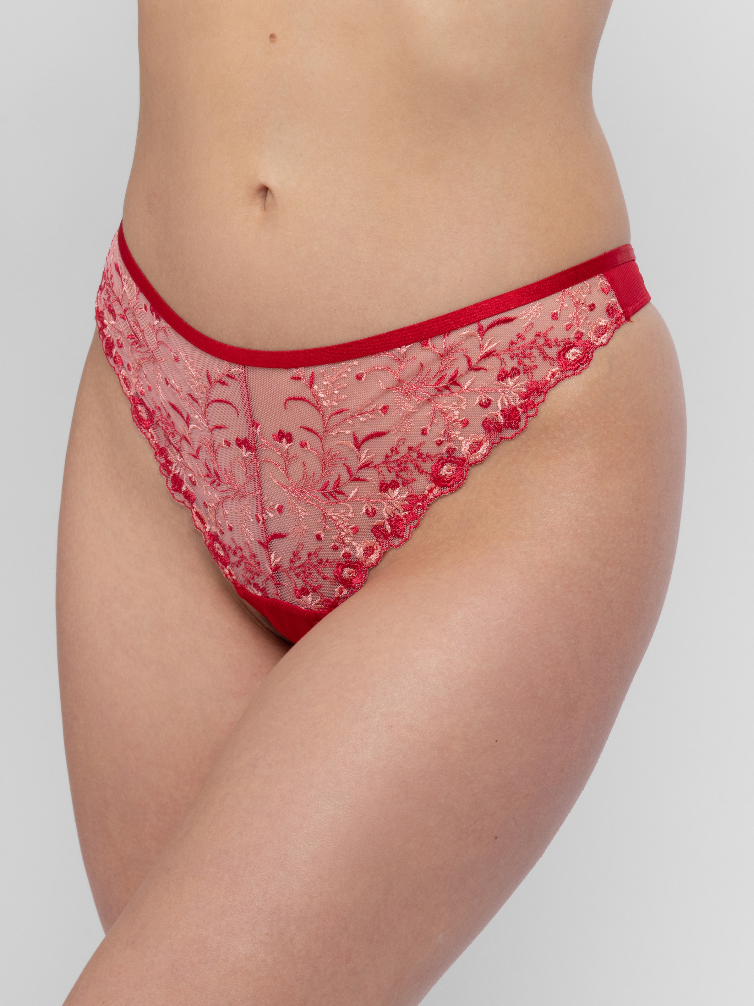 Dorina Tanga »Erin« mit zarter, transparenter Blumenstickerei