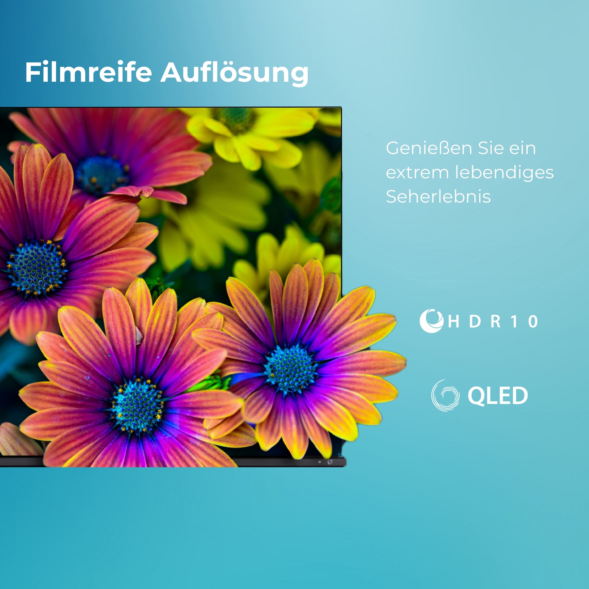 Toshiba QLED-Fernseher »43QV1563DDW« 108 cm/43 ″ Smart-TV