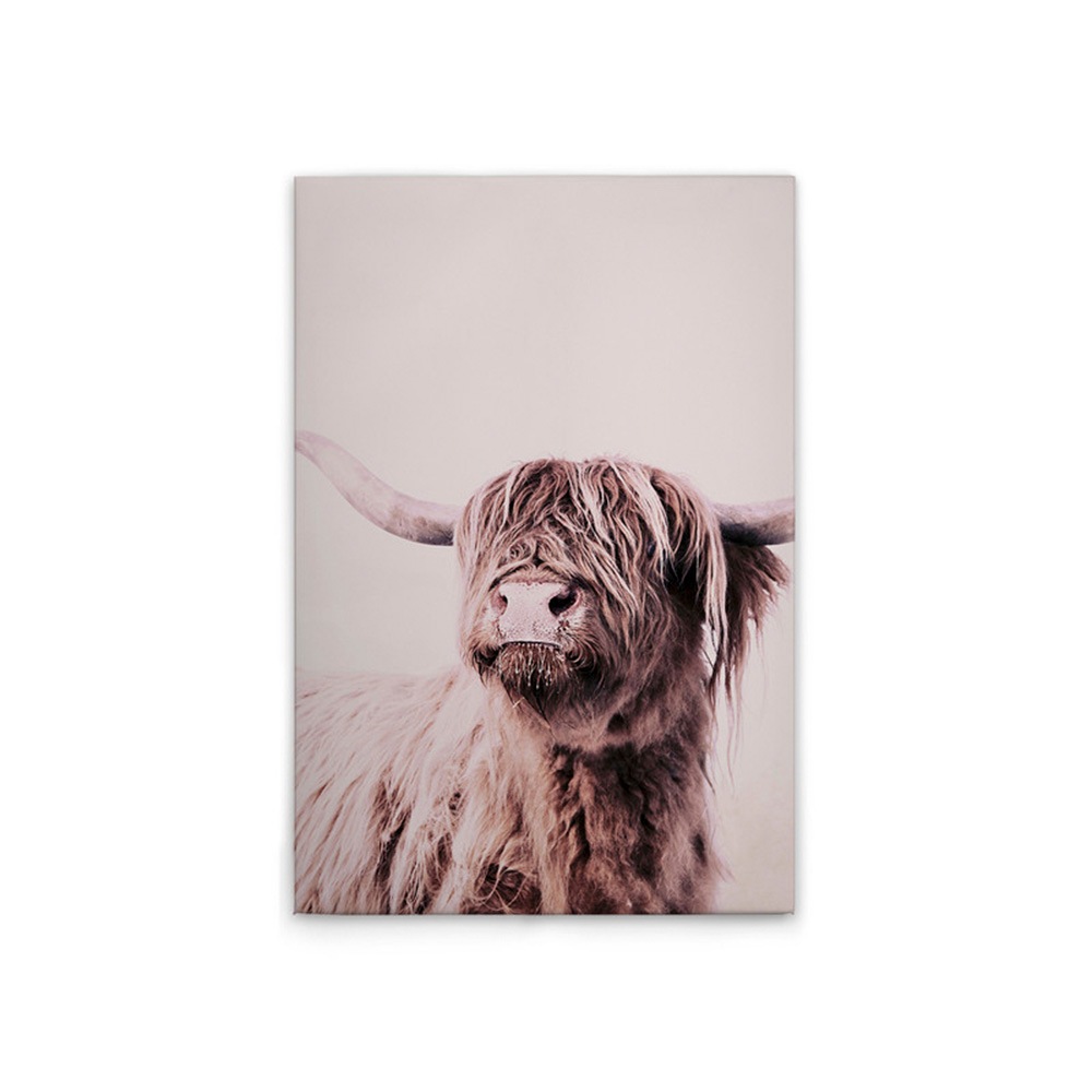 A.S. Création Leinwandbild »Highland Cattle 1 - Wandbild Creme Beige Keilra günstig online kaufen