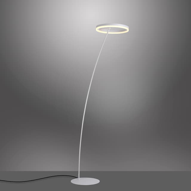 Paul Neuhaus Stehlampe »TITUS«, 1 flammig-flammig, LED, dimmbar über  Schnurdimmer online kaufen