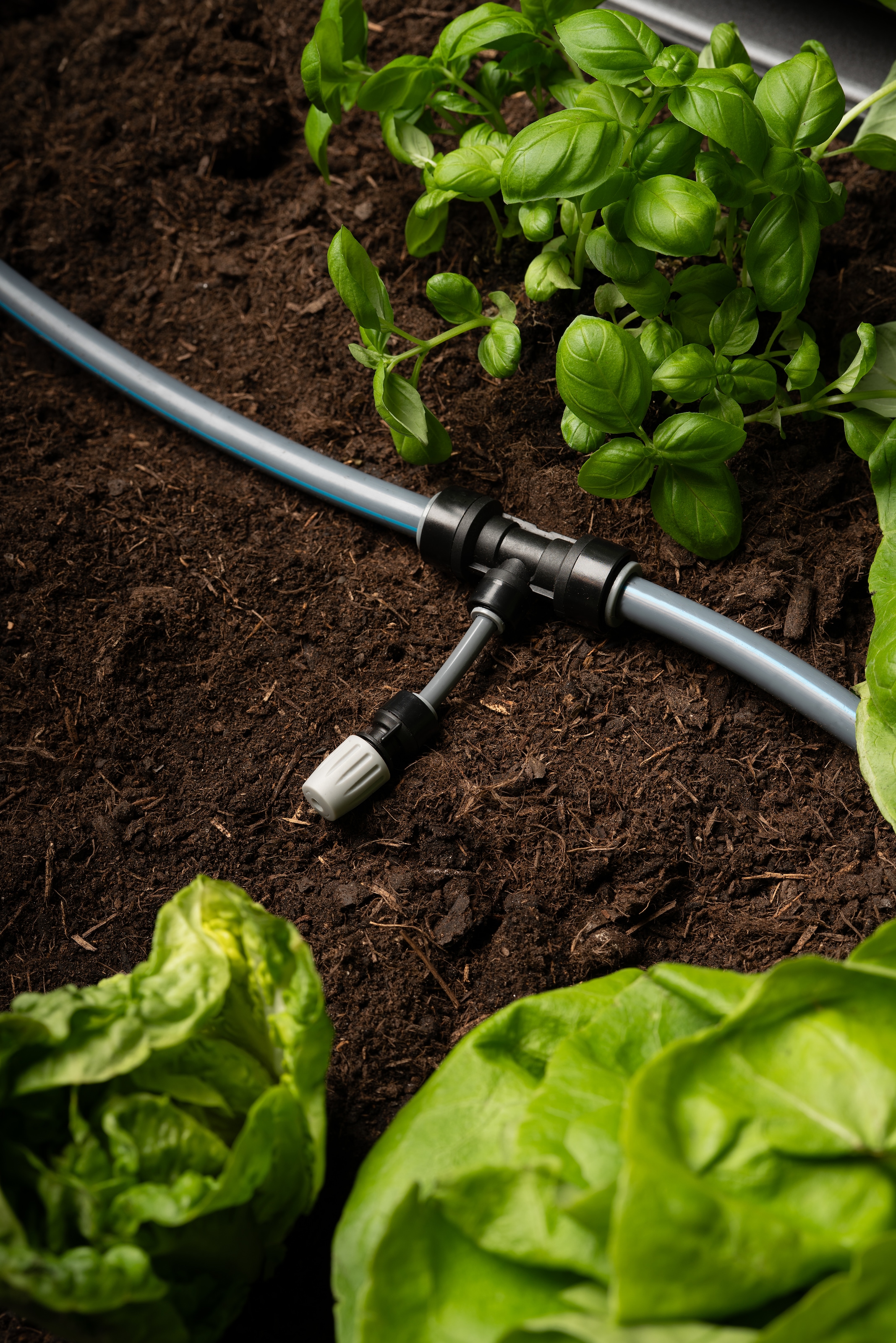 Biohort Bewässerungssystem »zu Hochbeet, Pflanzbeet Belvedere, Gewächshaus Florentina« ()  Effiziente Tropfbewässerung für gesundes Pflanzenwachstum