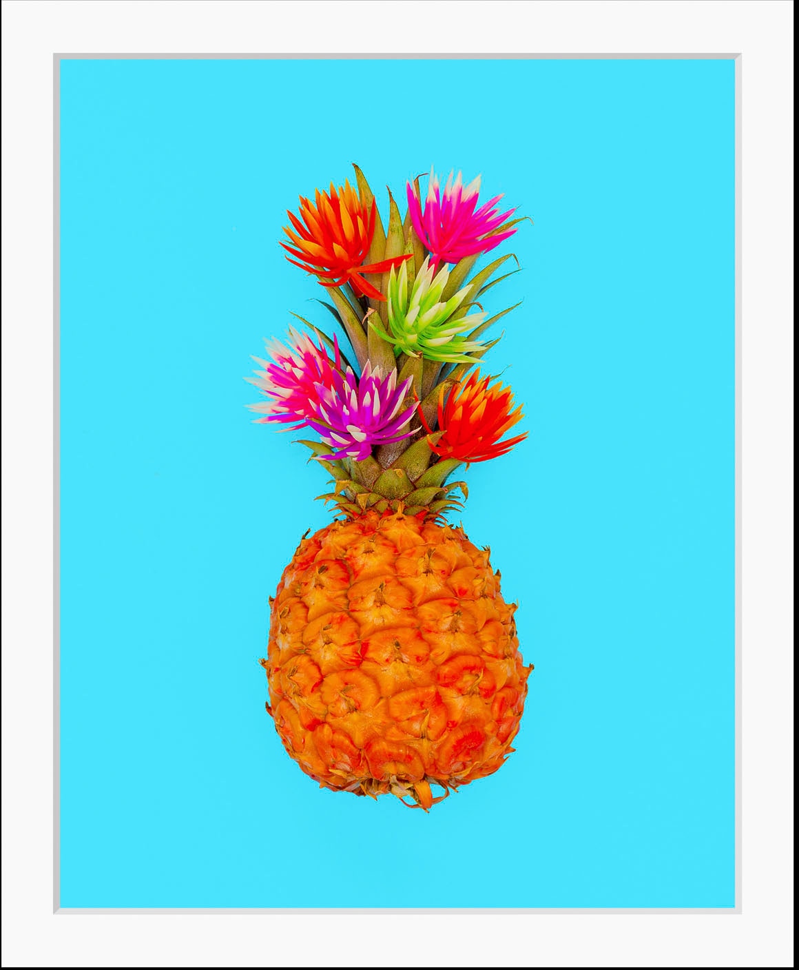 queence Bild »Mattis«, Obst-Obst Bilder-Lebensmittel-Essen-Kunst-Figuren, (1 St.), HD Premium Poster-Druck inkl. Holzrahmen
