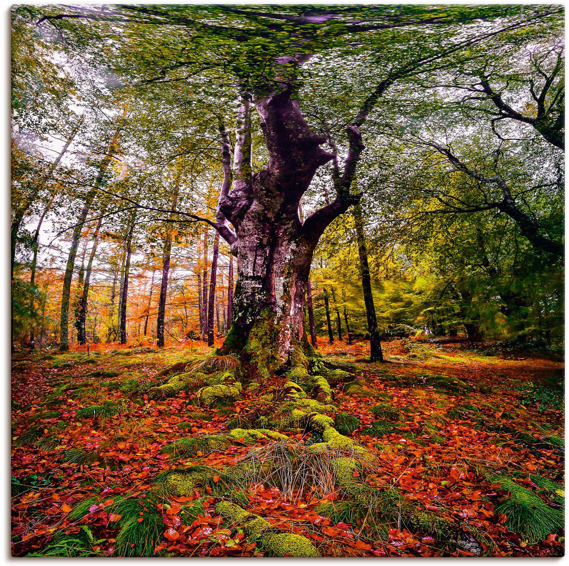 Artland Wandbild "Baum im Wald", Baumbilder, (1 St.), als Leinwandbild, Pos günstig online kaufen