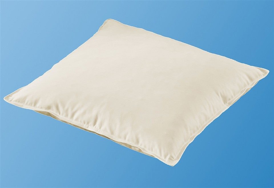 Otto Keller Federkissen »Große Auswahl« Füllung: 85Gaensefedern15Gaensedaunen 2 Stk. tlg.