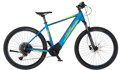 FISCHER Fahrräder E-Bike »MONTIS 6.0i 504«, 12 Gang, (mit Akku-Ladegerät-mit Werkzeug) kaufen