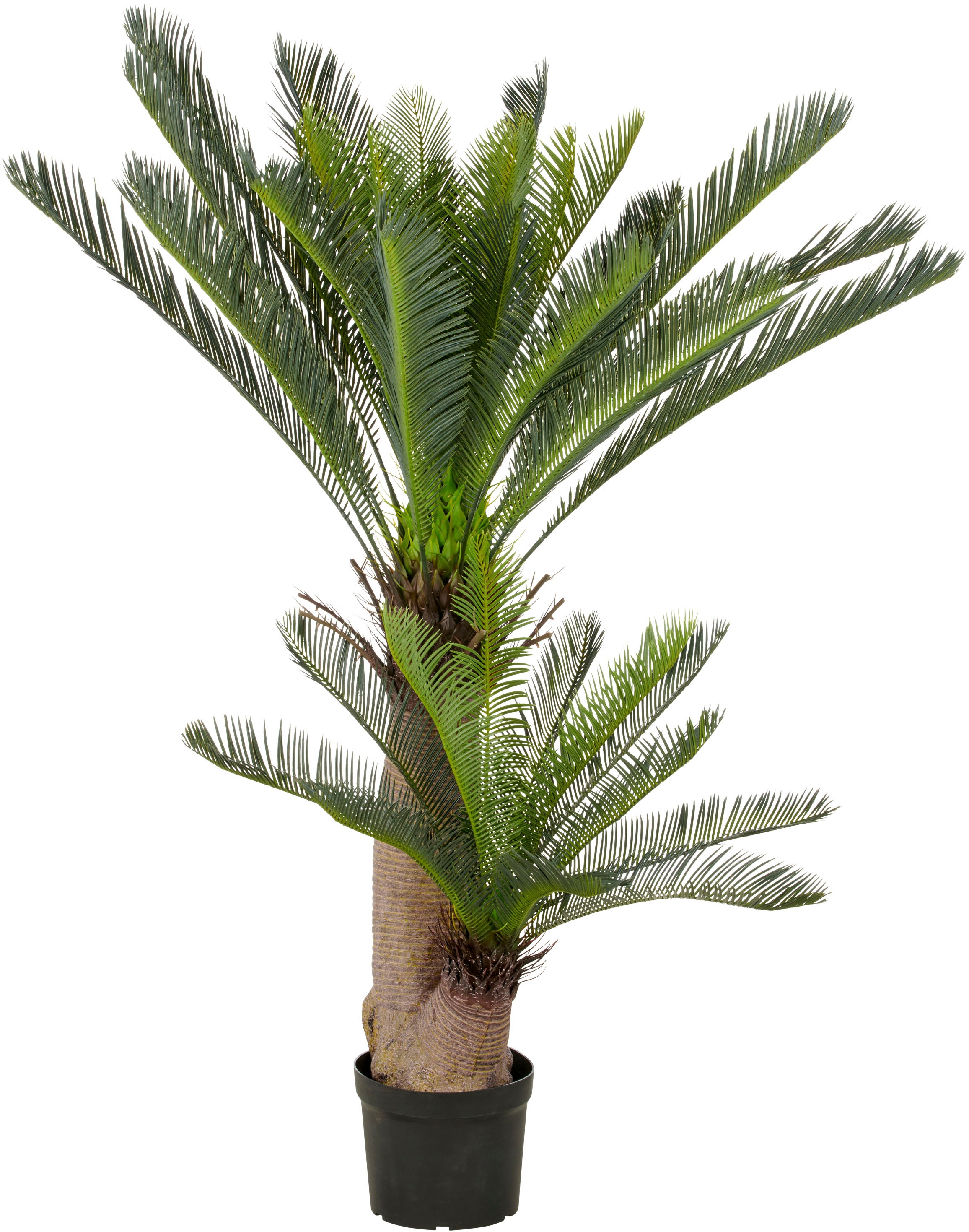 Creativ green Kunstpalme »Cycaspalme« mit detailgetreuer Gestaltung günstig online kaufen