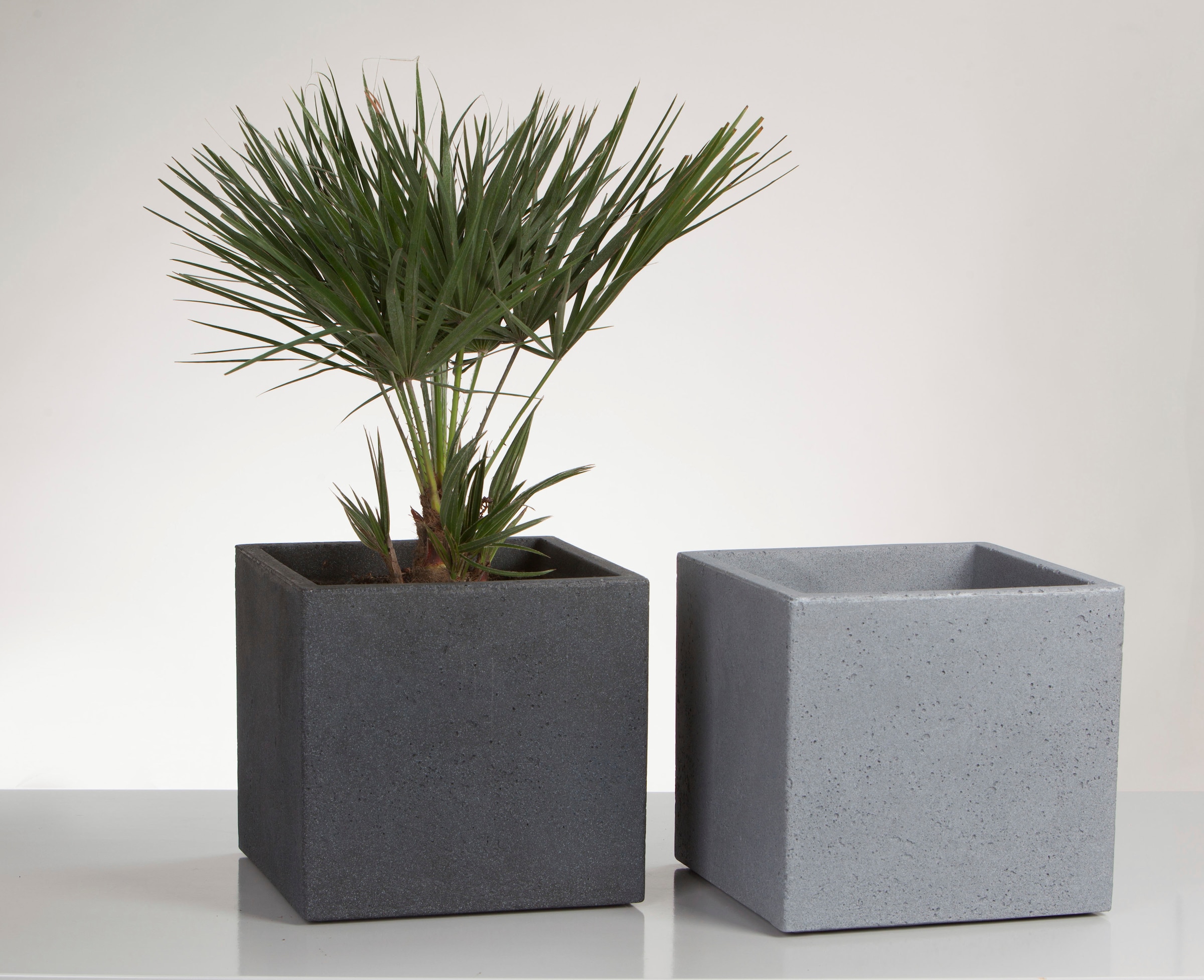 Scheurich Blumentopf »30/240 C-CUBE«