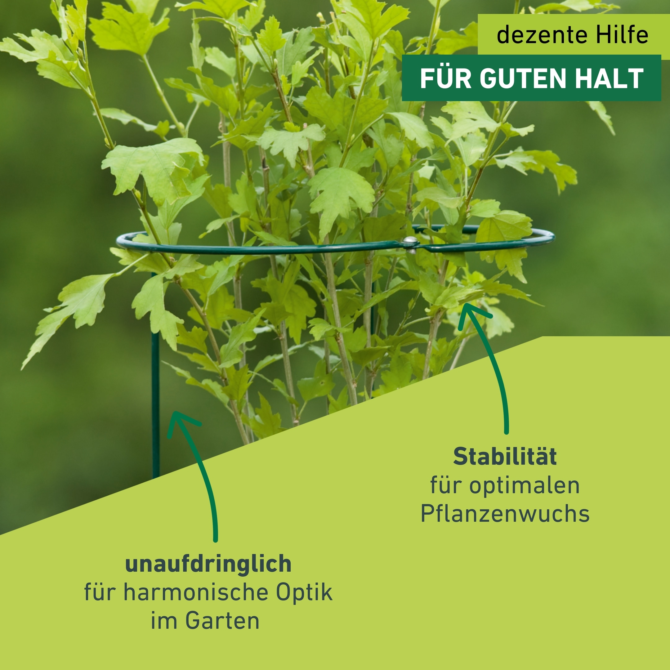 Windhager Rankhilfe »Staudenstützen 2-teilig für Pflanzen« langlebiger Staudenhalter erhältlich in unterschiedlichen Größen, grün