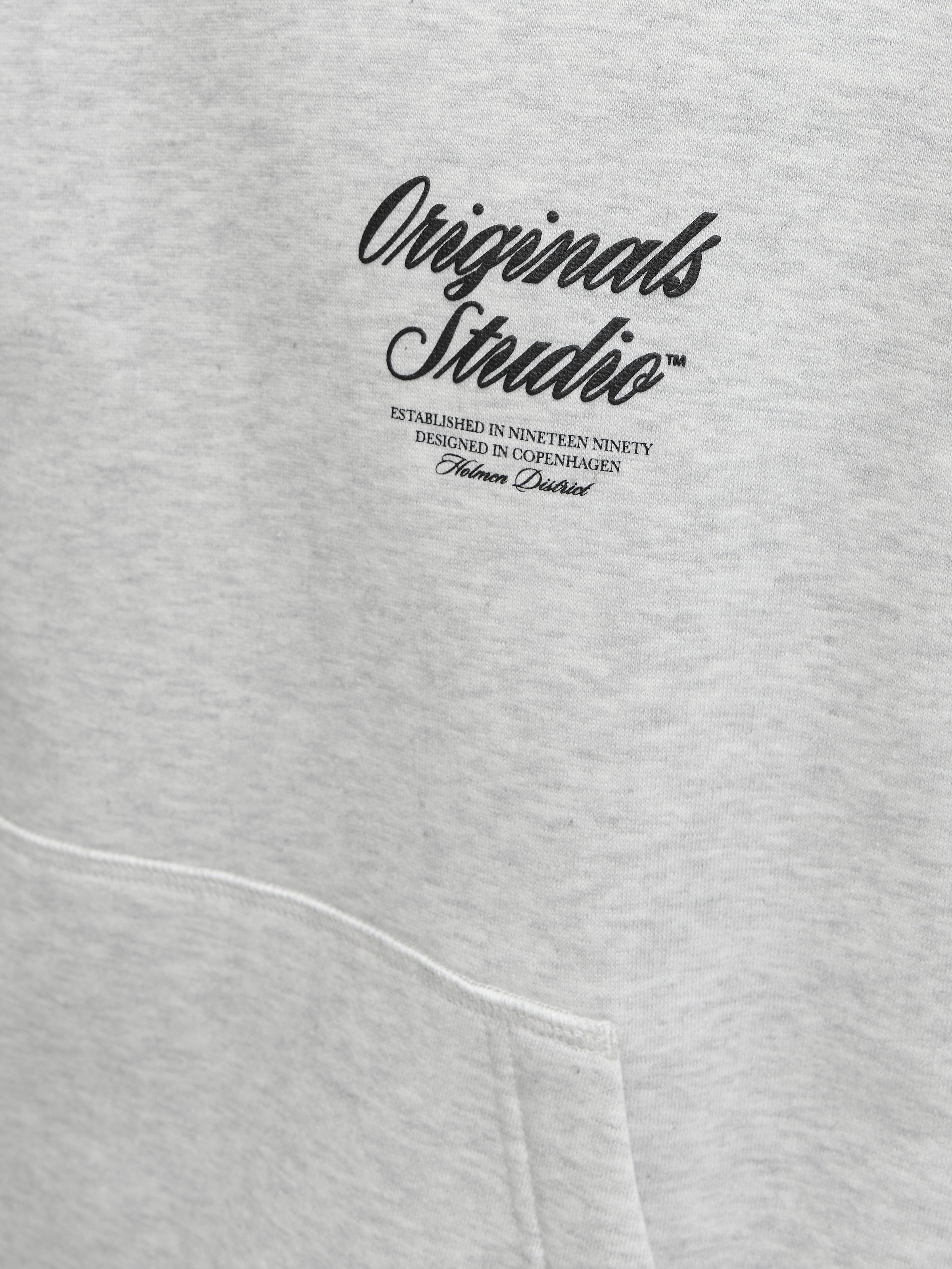 Jack & Jones Kapuzensweatshirt »JORNORREBRO TYPO BACK SWEAT HOOD SN«