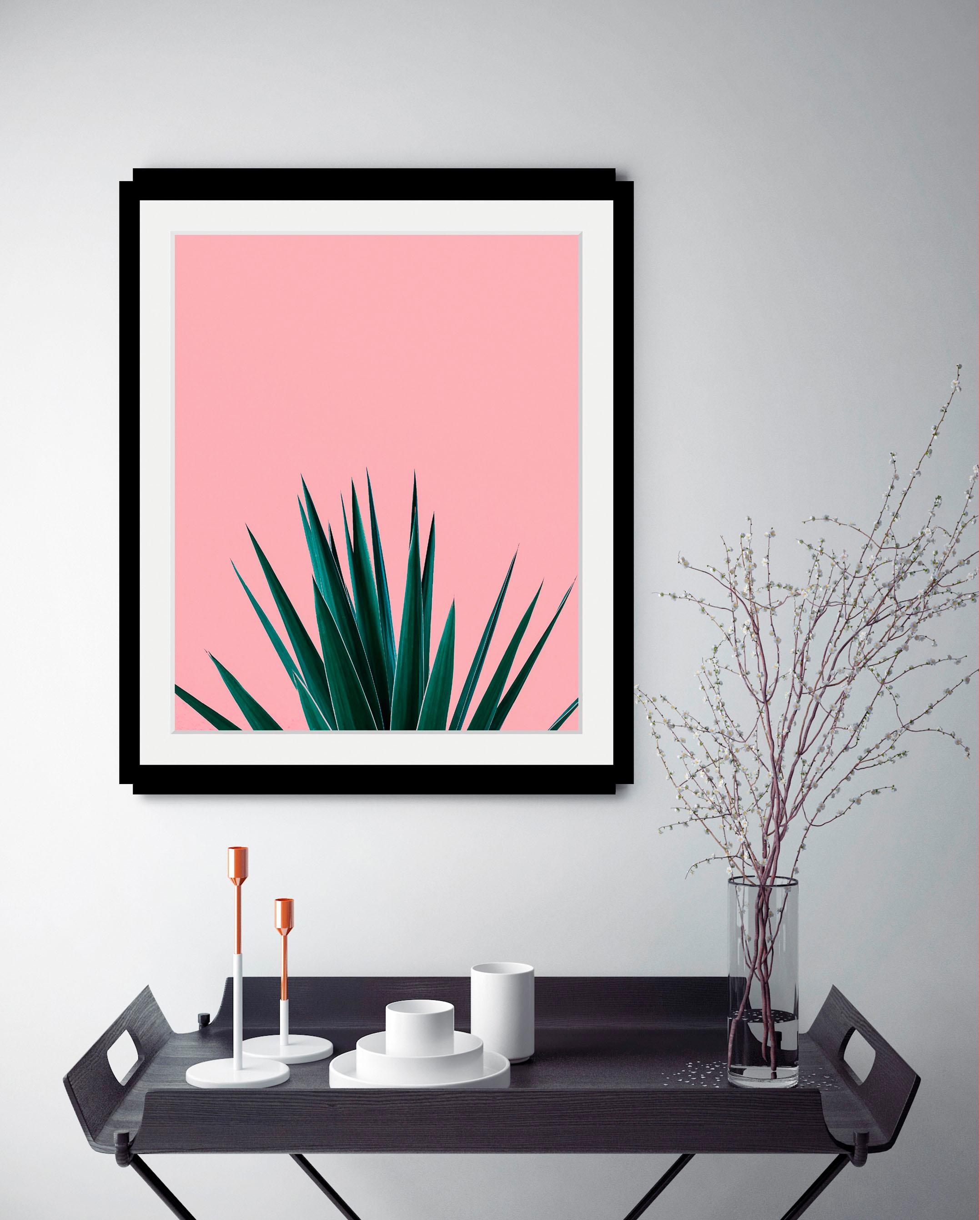 queence Bild »Palme«, Kunst-Pflanzen-Foto-Pflanzenbilder-Stechpalme, HD Pre günstig online kaufen