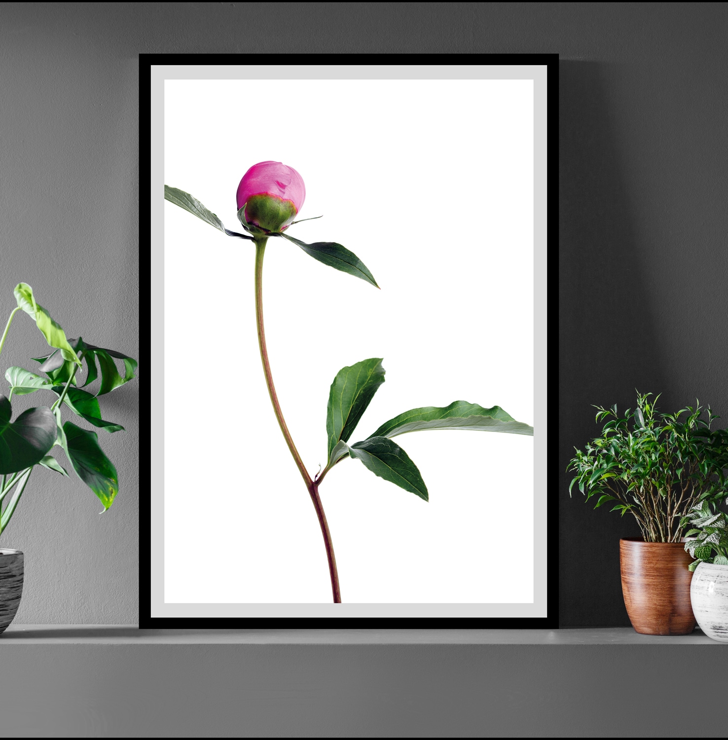 queence Bild »Manuel«, Blumen, gerahmt, Rosen