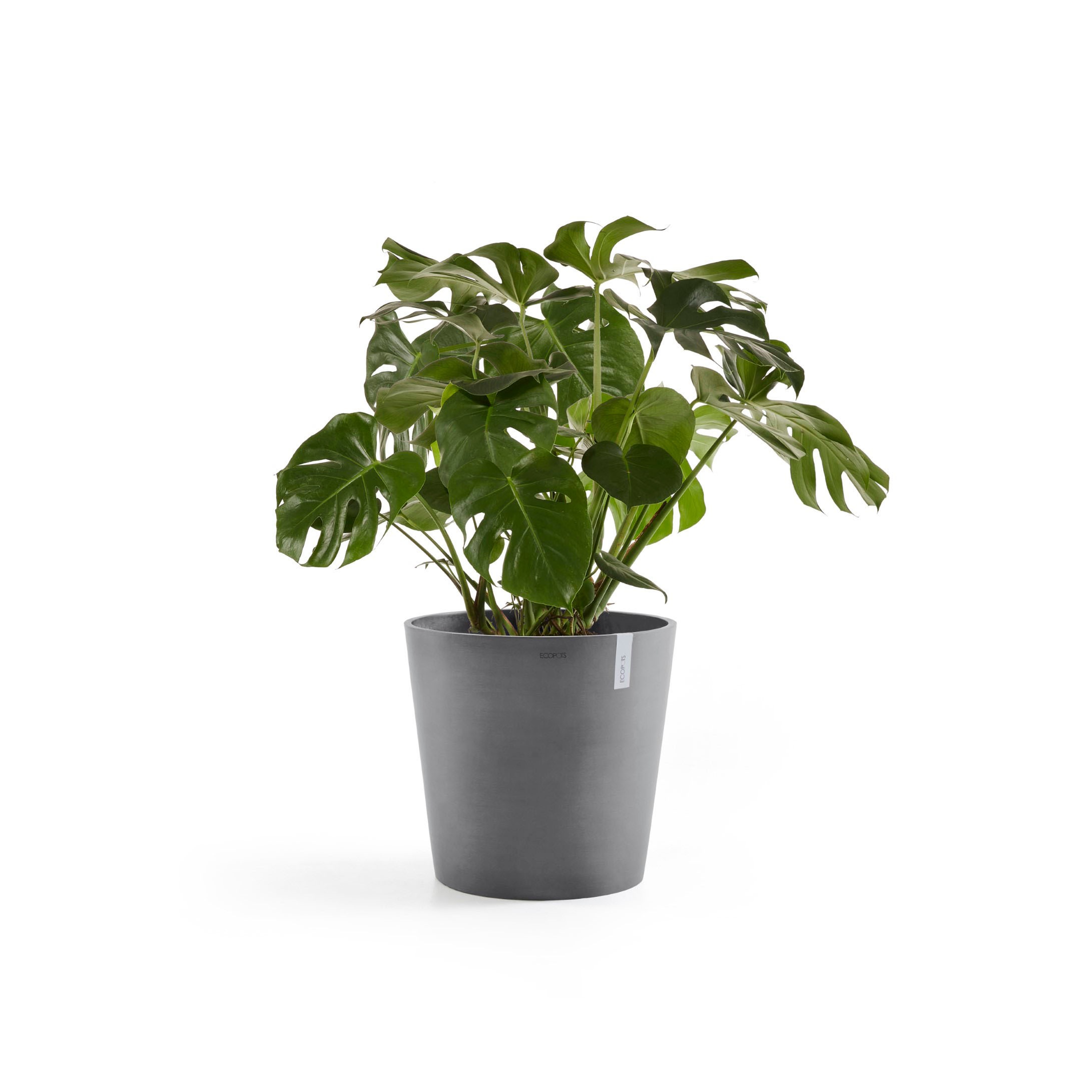 ECOPOTS Blumentopf »Amsterdam«, ØxH: 50x43,8 cm