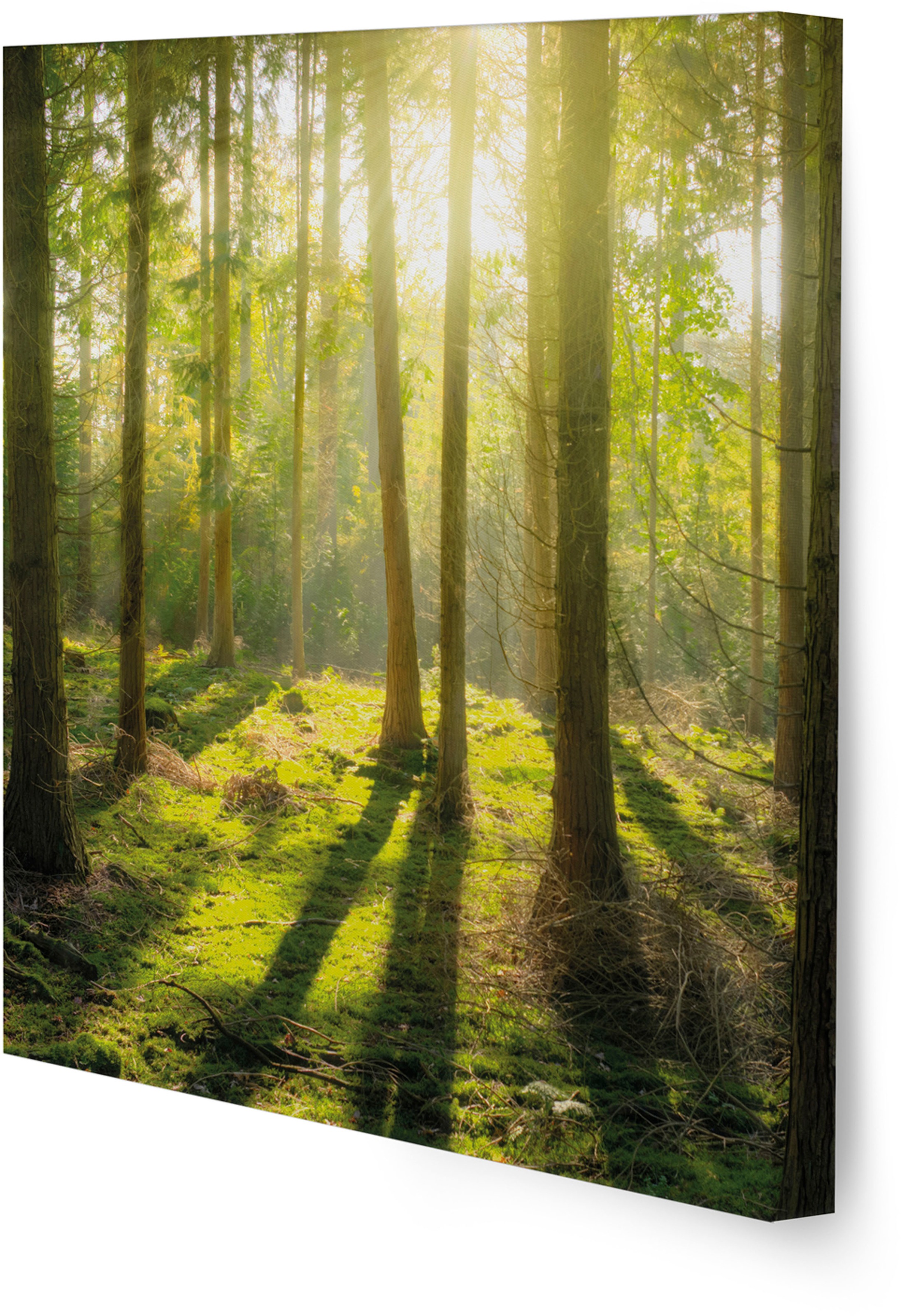 Art for the home Leinwandbild »Pure Natur«, Landschaft, (Set)