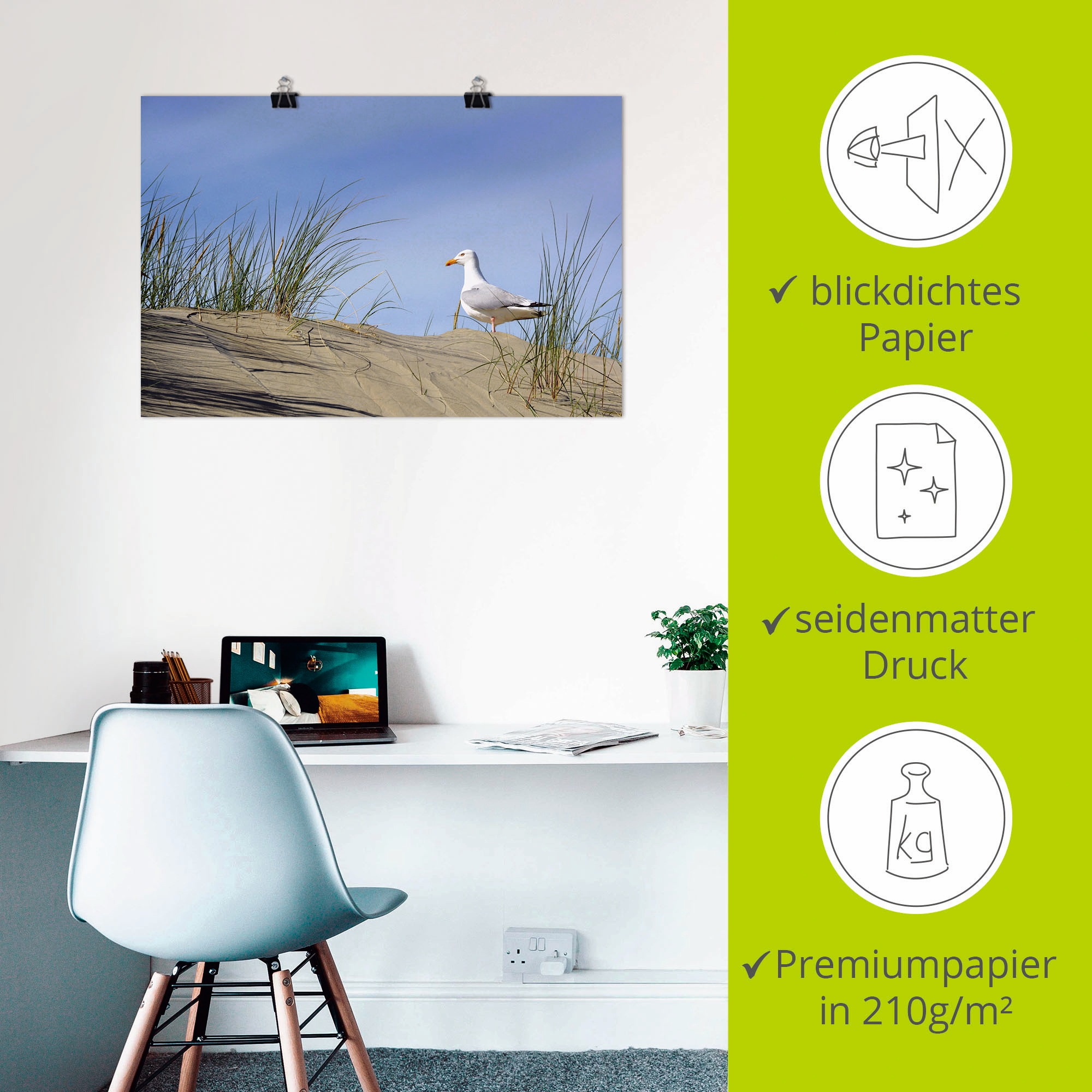 Artland Poster »Möwe in Dünenlandschaft«, Strand, (1 St.), als Alubild, Leinwandbild, Wandaufkleber oder Poster in versch. Größen