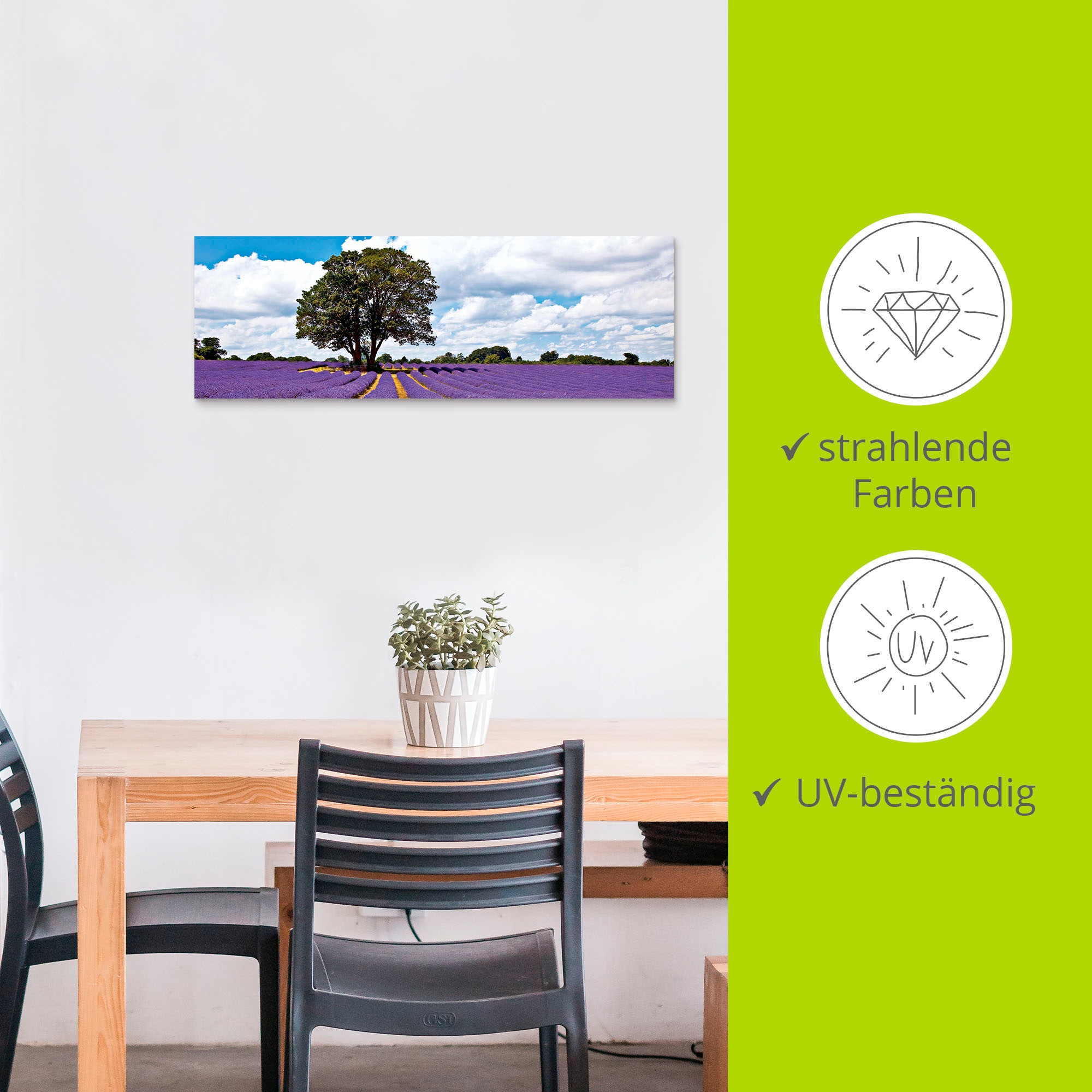 Artland Wandbild »Schönes Lavendelfeld im Sommer«, Felder, (1 St.), als Alubild, Outdoorbild, Leinwandbild in verschied. Größen