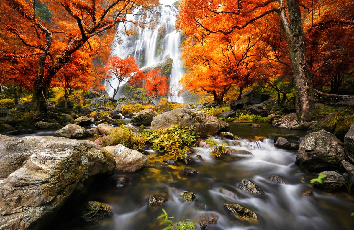 Papermoon Fototapete »WASSERFALL-HERBST WALD BÄUME STEINE FLUSS LANDSCHAFT« günstig online kaufen