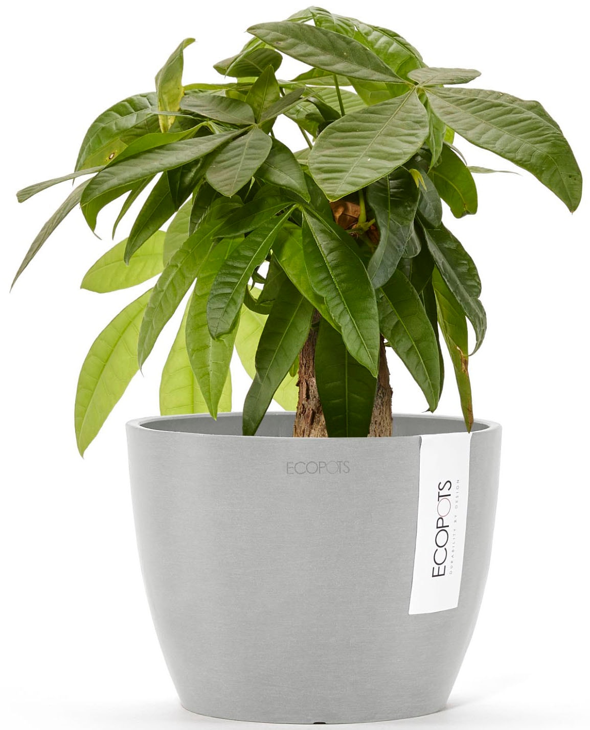ECOPOTS Blumentopf »STOCKHOLM White Grey« BxTxH: 16x165x12,5 cm