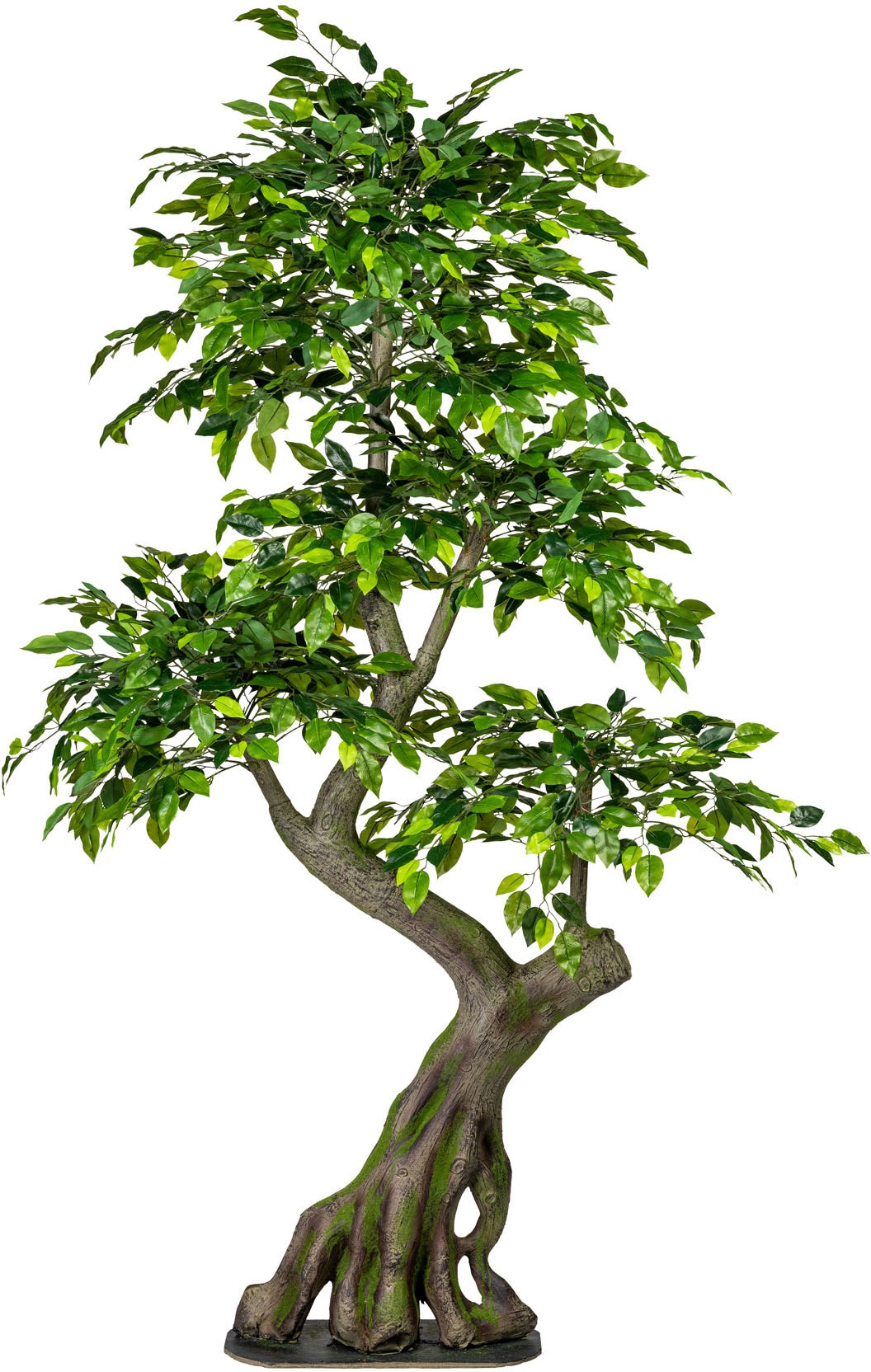 Creativ green Kunstbaum »Ficus Benjamini« online bestellen