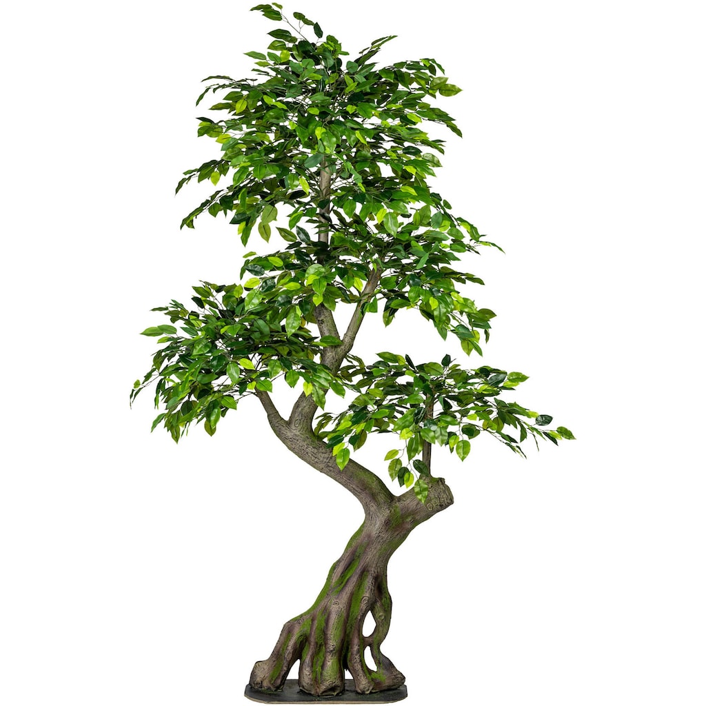 Creativ green Kunstbaum »Ficus Benjamini«, (1 St.)