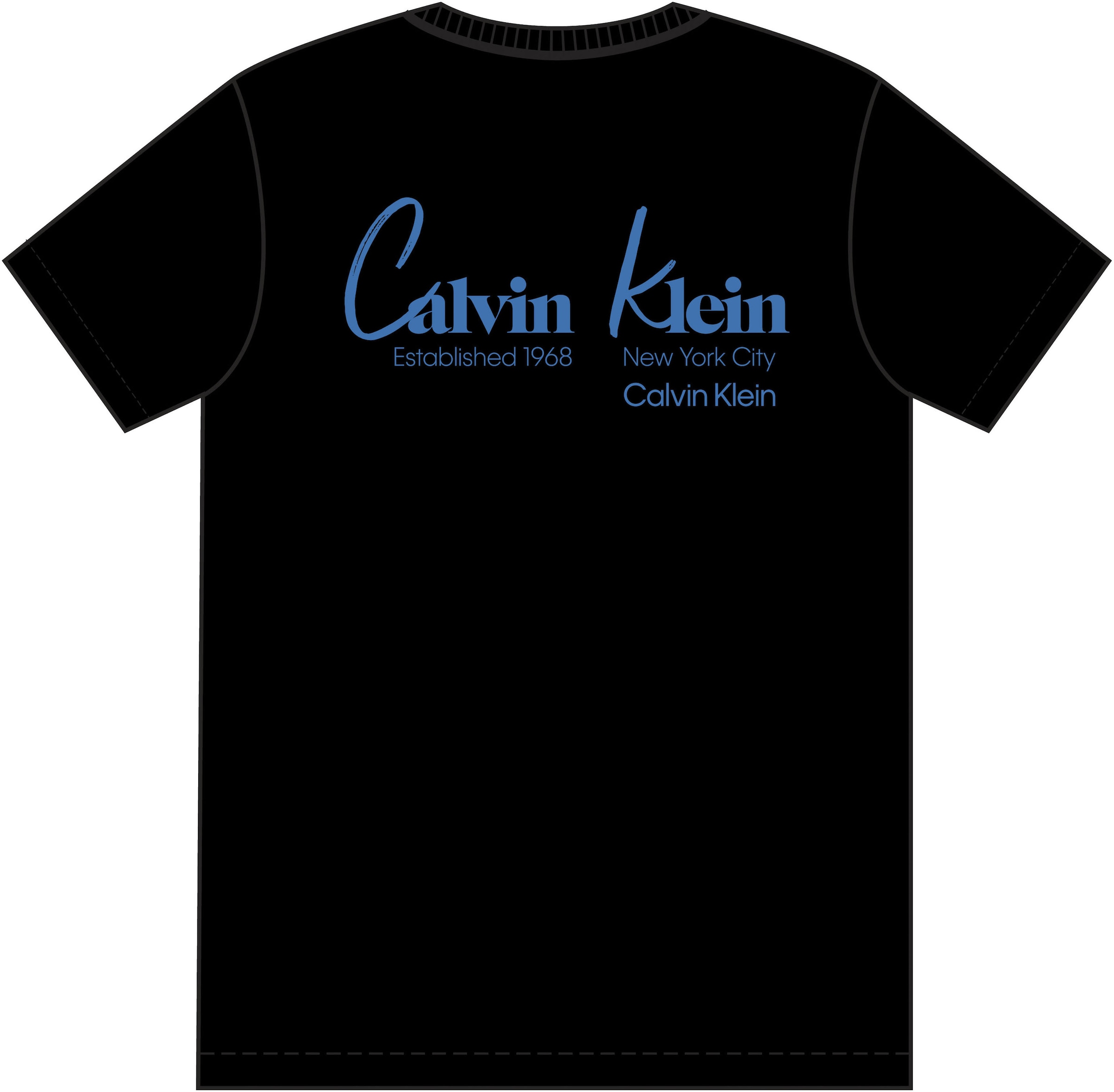 Calvin Klein Jeans T-Shirt »JEANS GRAPHICS« Regular fit mit Markenprint