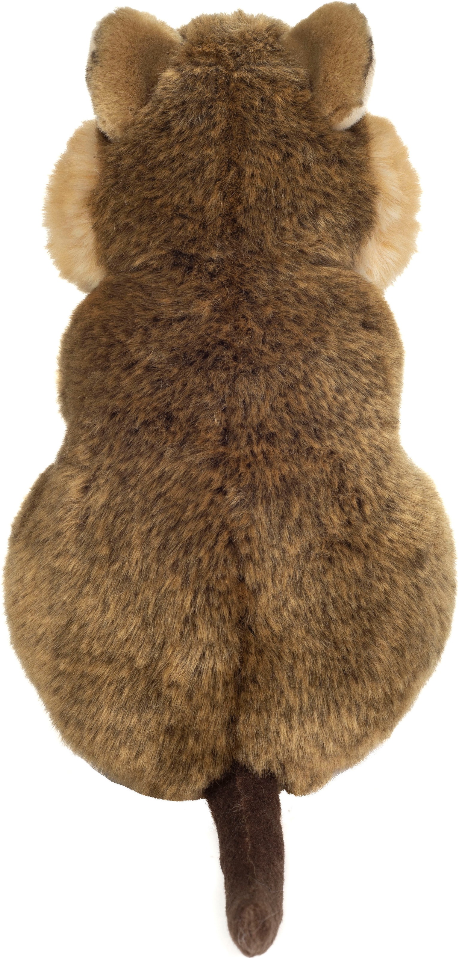 Teddy Hermann® Kuscheltier »Quokka, 24 cm«, zum Teil aus recyceltem Material