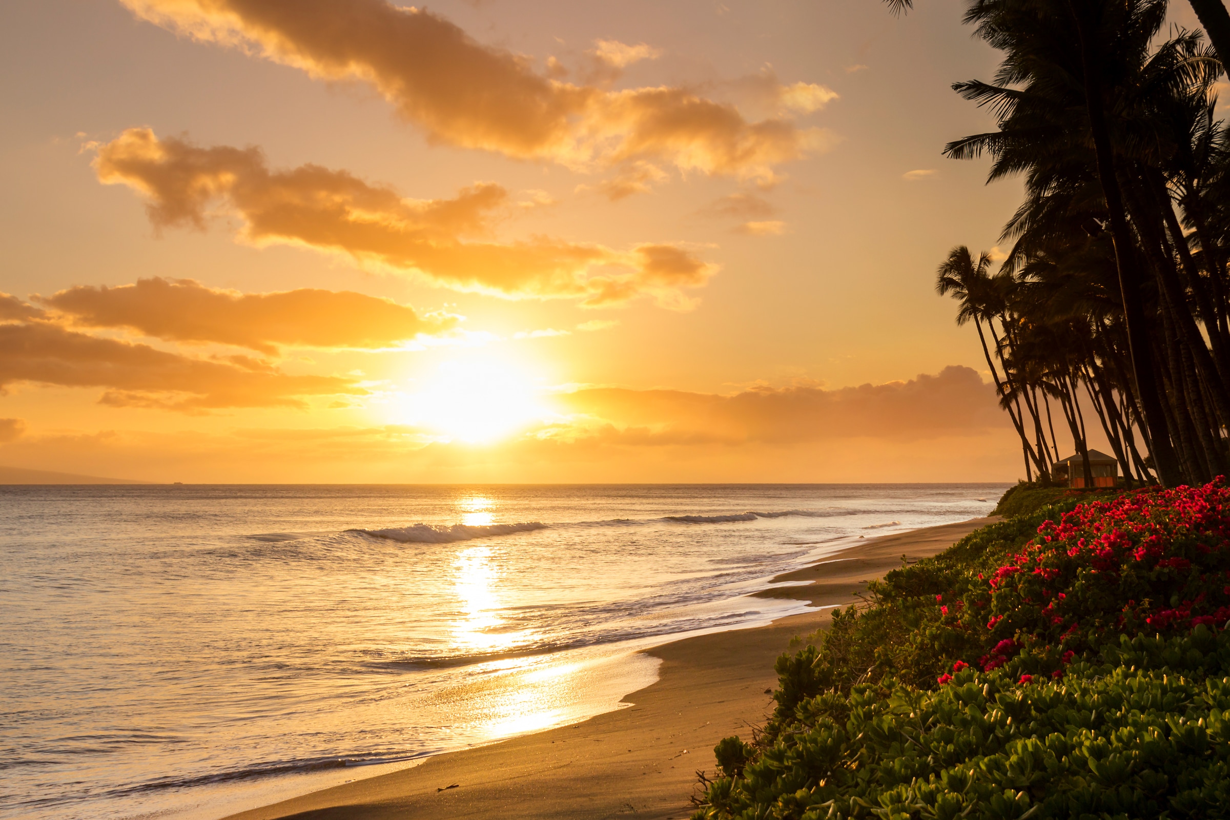 Papermoon Fototapete »Tropical Sunset Kaanapali Beach« glatt günstig online kaufen
