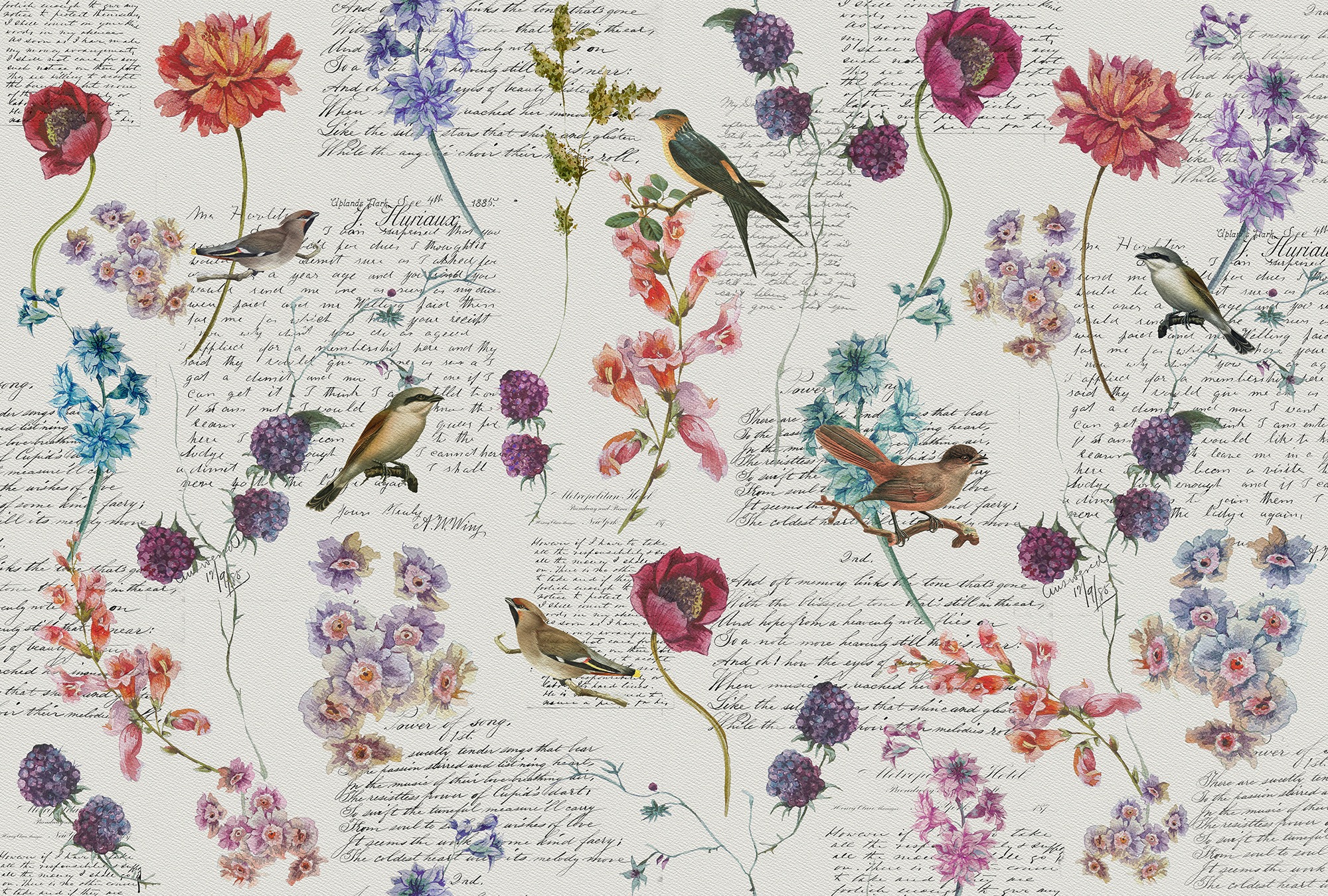 Architects Paper Fototapete »Atelier 47 Bird Poetry 1« floral glatt Vlies, günstig online kaufen