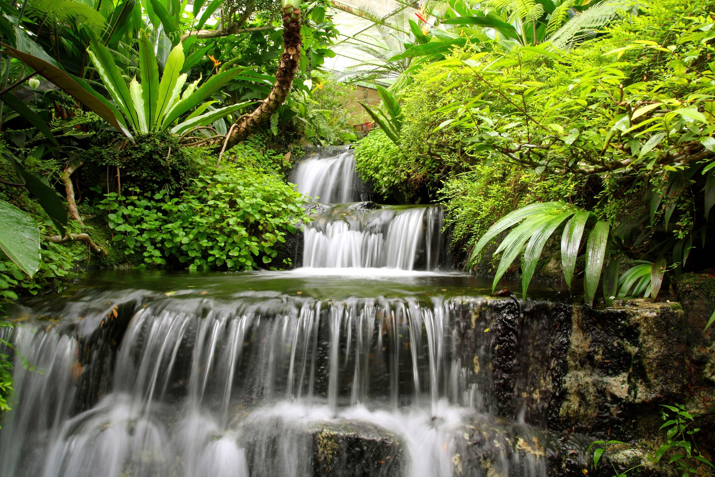 Papermoon Fototapete »WASSERFALL-BÄUME FLUSS SEE STEINE BLUMEN BERGE SONNE« günstig online kaufen