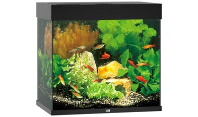 Aquarium »Lido 120 LED«, BxTxH: 61x41x58 cm, 120 l, inkl. MultiLux LED Einsatzleuchte