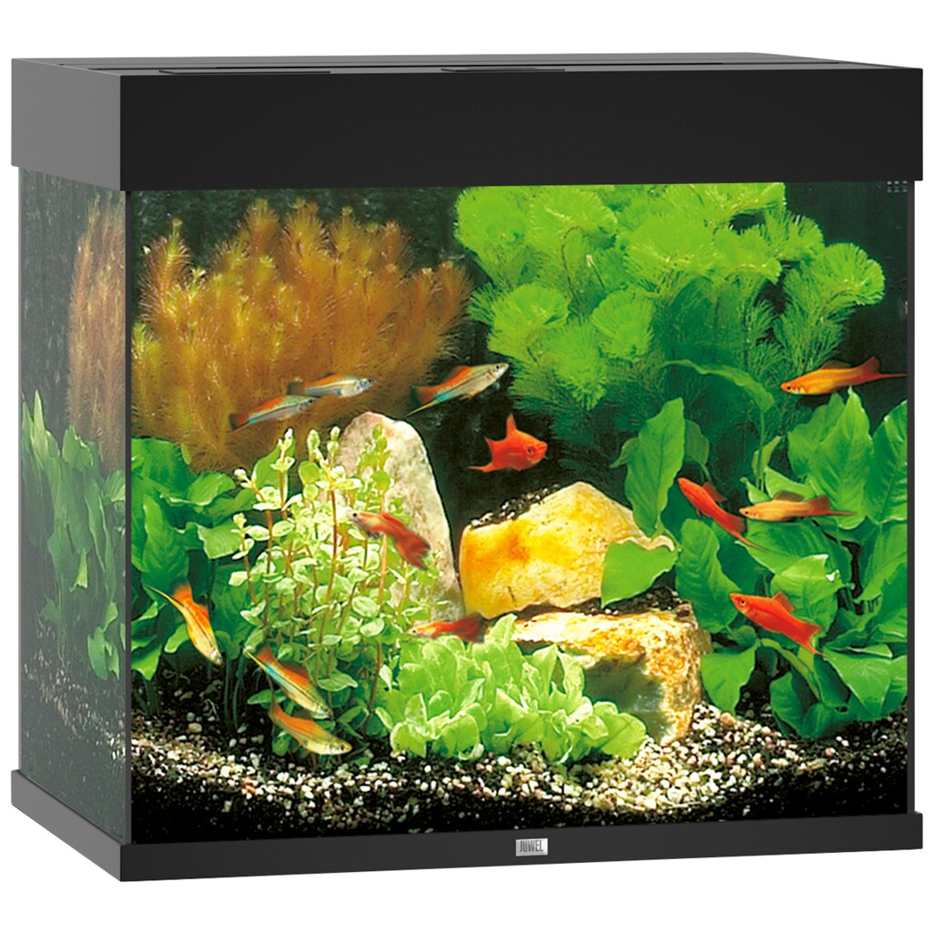 JUWEL AQUARIEN Aquarium »Lido 120 LED«, BxTxH: 61x41x58 cm, 120 l, inkl. MultiLux LED Einsatzleuchte