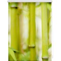 LICHTBLICK ORIGINAL Seitenzugrollo »Rollo Klemmfix, ohne Bohren, Verdunkelung, Bambus - Grün«, verdunkelnd, Verdunkelung-energiesparend, freihängend