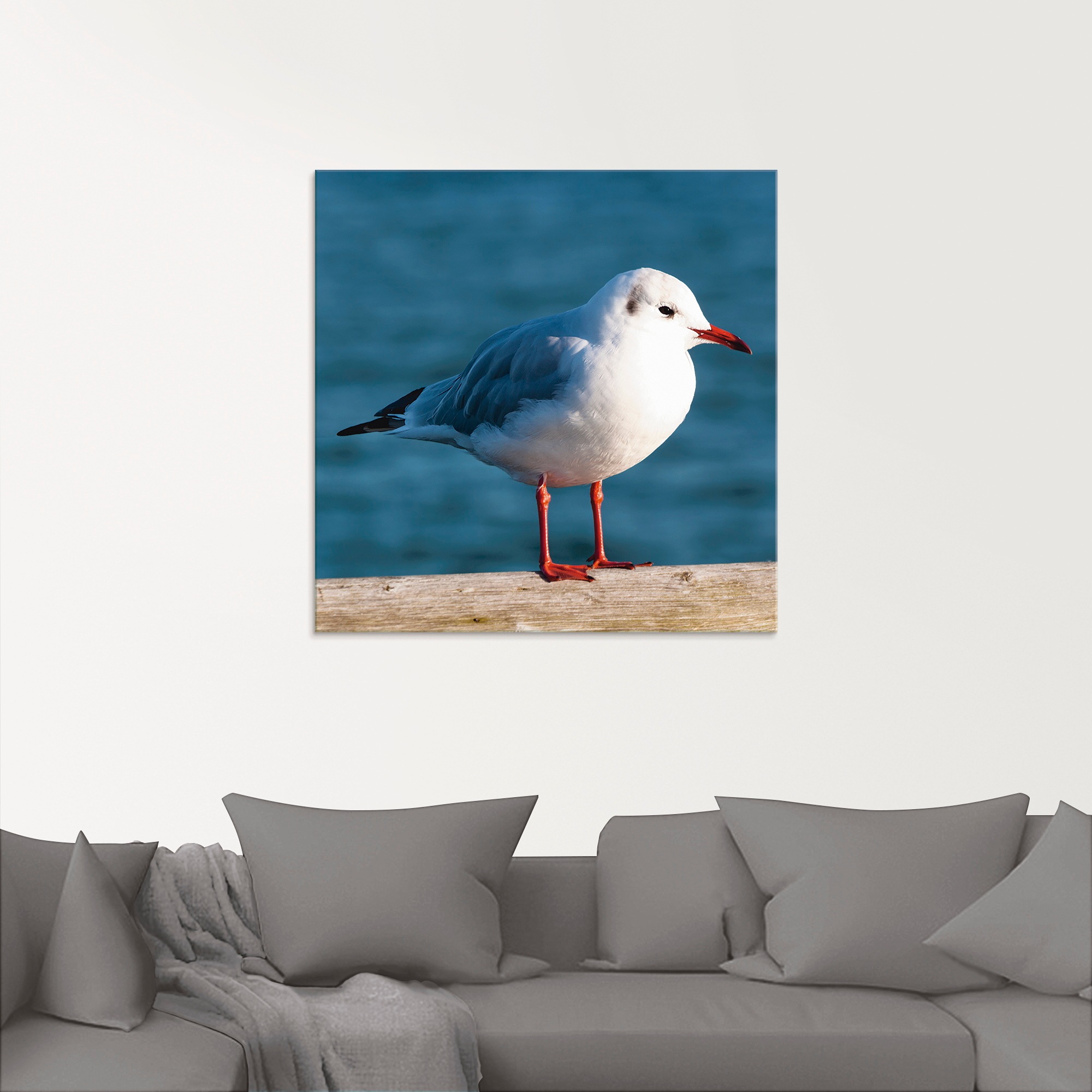 Artland Glasbild »Möwe« Vögel 1 Stk. tlg. in verschiedenen Größen günstig online kaufen