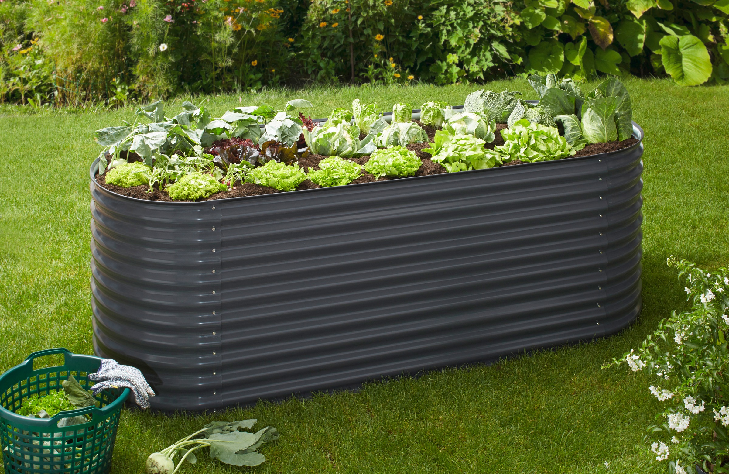 KONIFERA Hochbeet », bodenloses Gartenbeet aus verzinktem Stahl« witterungsbeständig, BxTxH: 240x80x82 cm, in 2 Farben anthrazit